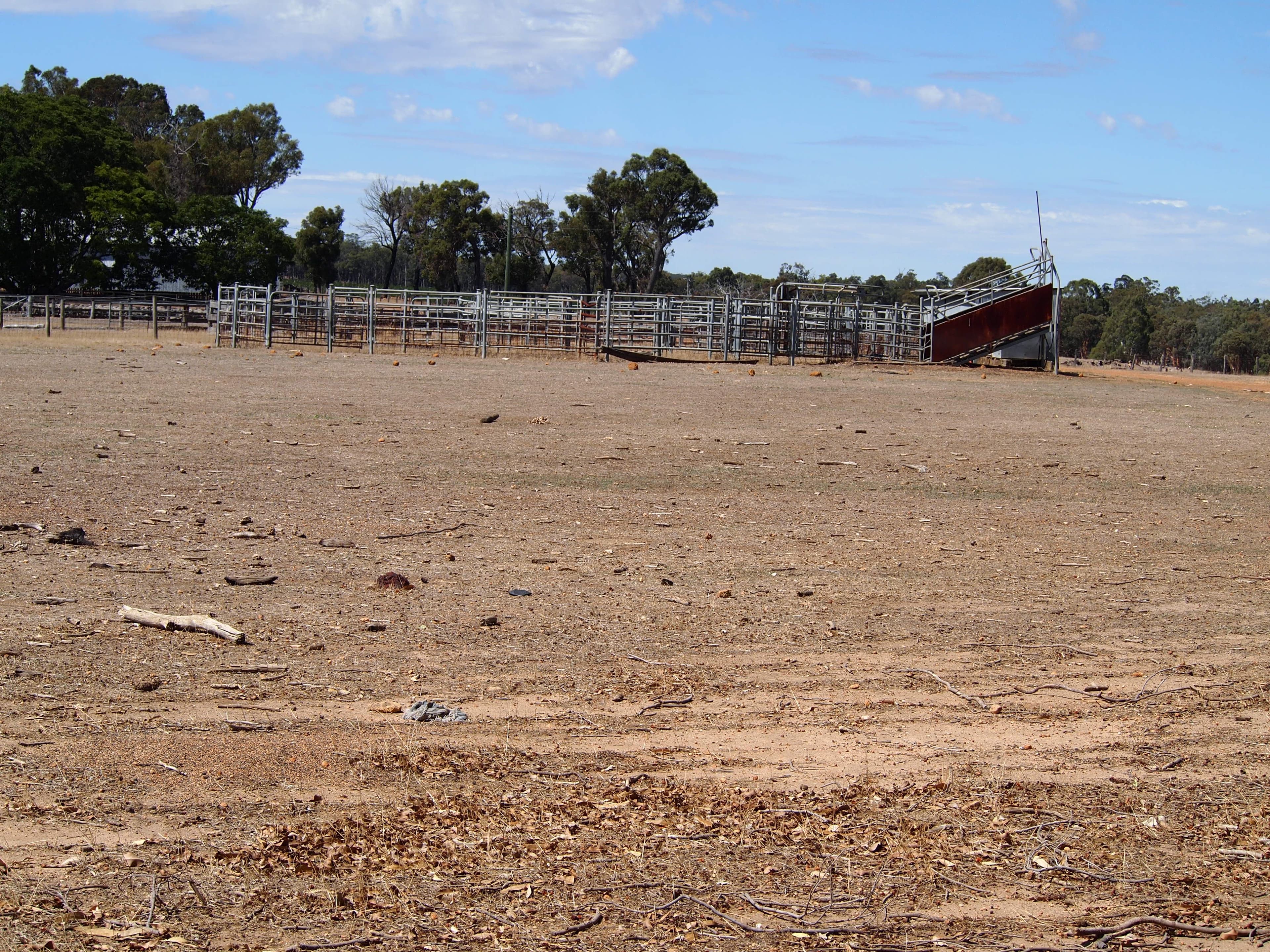 Maringee Farm, Trigwell Bridge Road, Darkan WA 6392, Darkan - Thumbnail 8