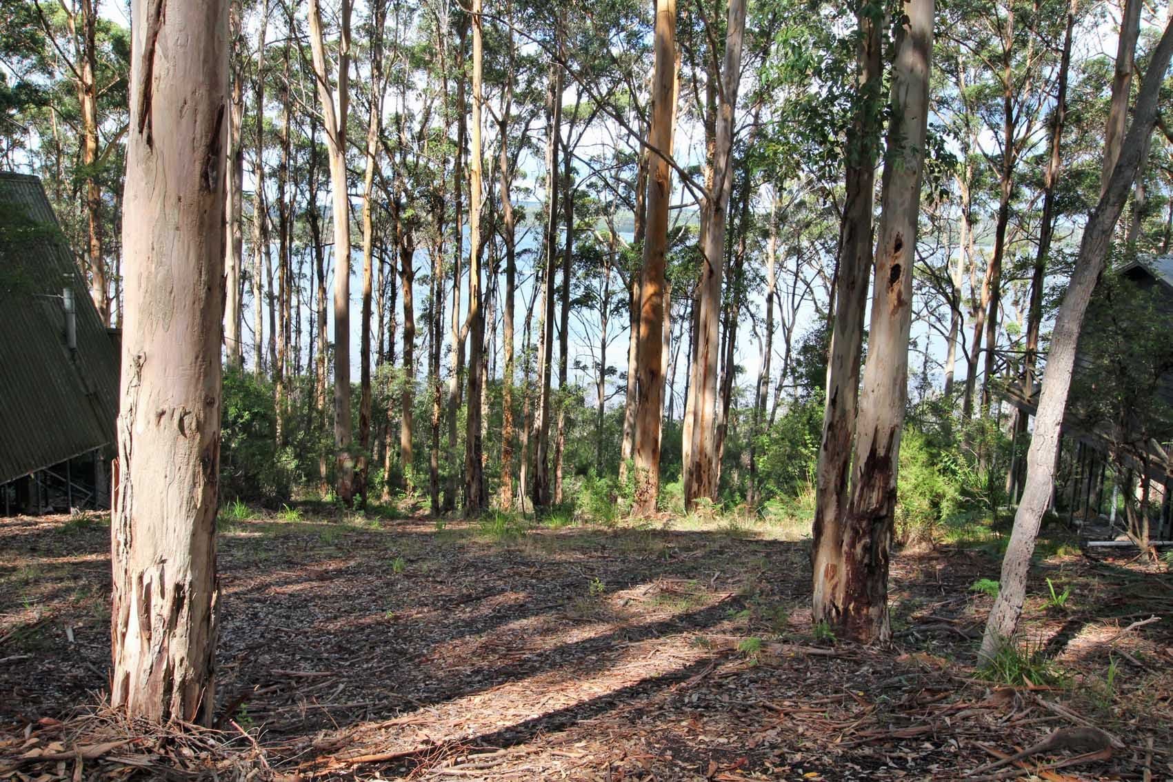 23 Payne Road, Denmark WA 6333, Denmark - Image 1
