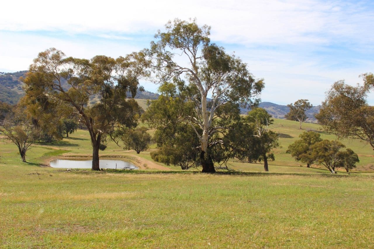 2529 Sofala Road, Bathurst NSW 2795, Bathurst - Thumbnail 7