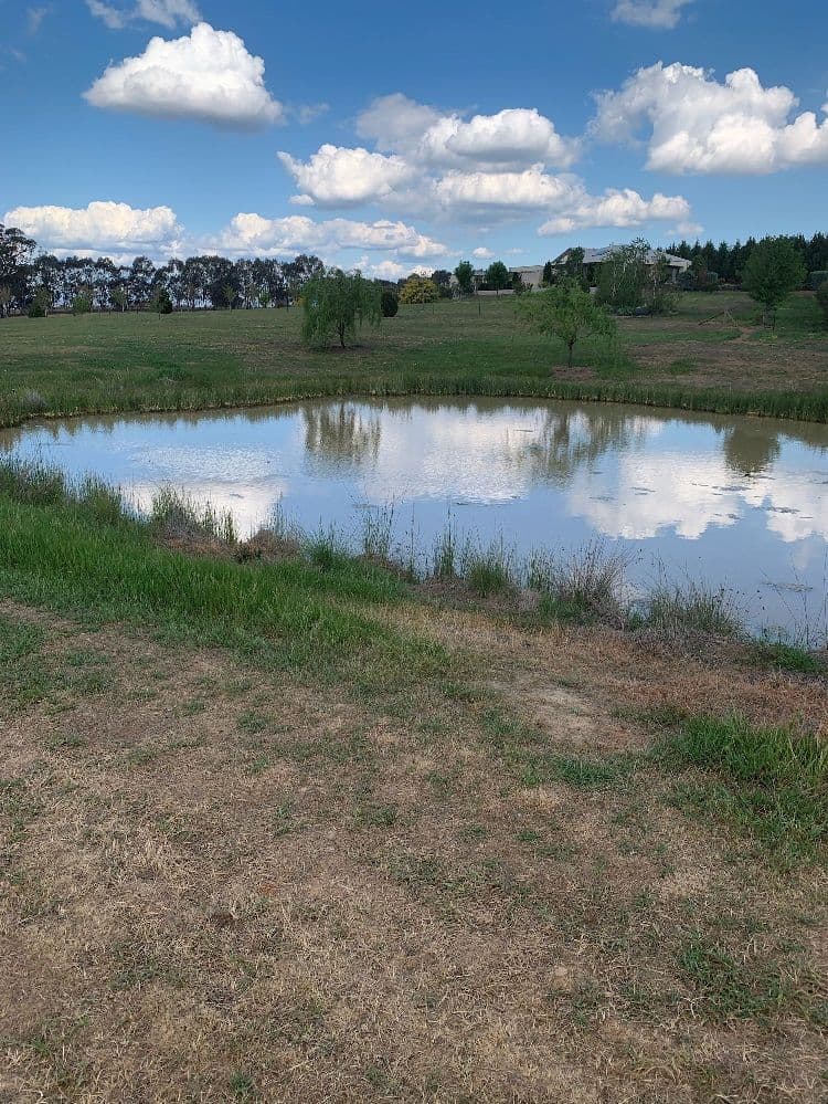 Lot 871 Alexandra Way, Table Top NSW 2640, Table Top - Thumbnail 2