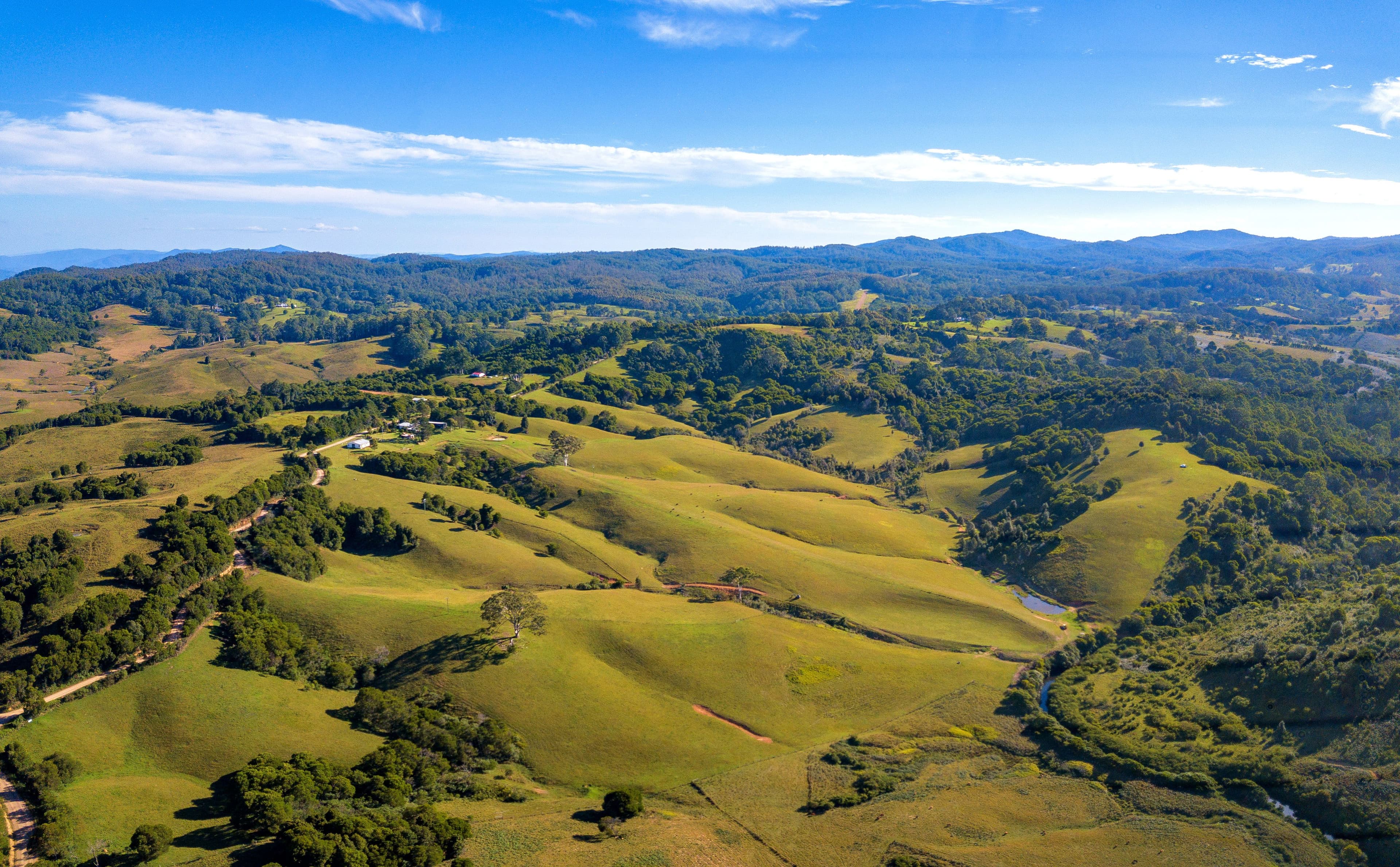 54 Beech Road, Elands NSW 2429, Elands - Thumbnail 2