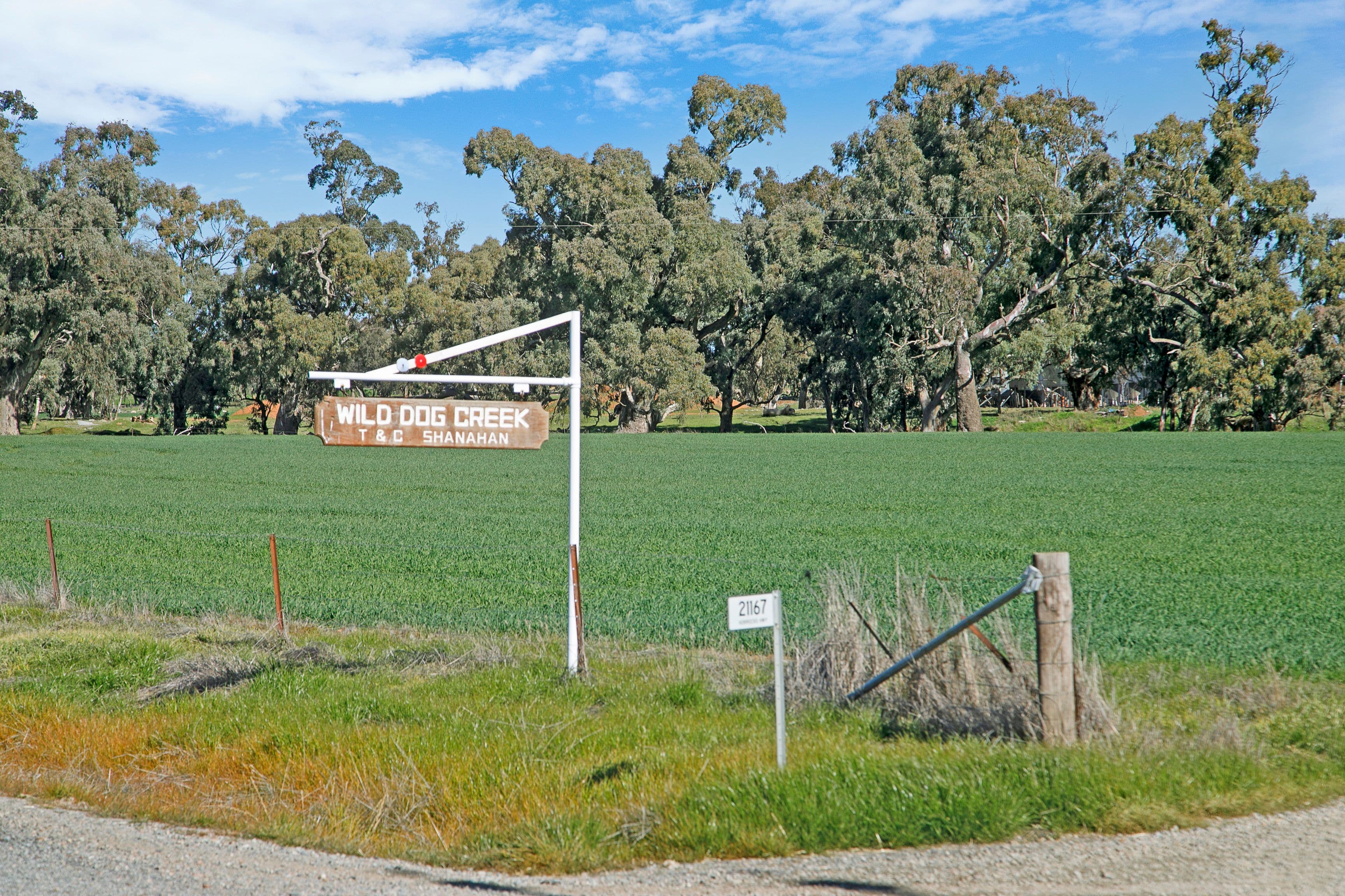 'Wild Dog Creek' Horrocks Highway, Melrose SA 5483, Melrose - Thumbnail 2