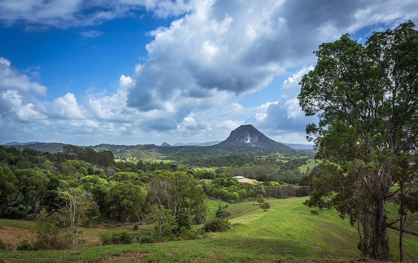 182 Uhlmanns Road, Federal QLD 4568, Federal - Image 1