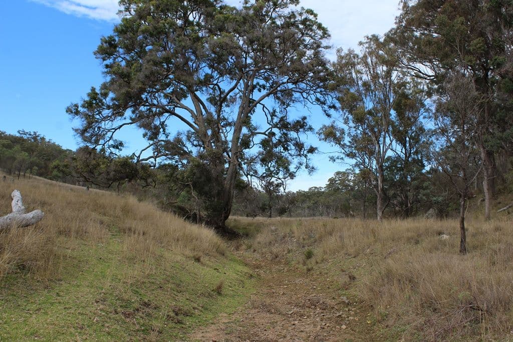 Lot 5 New England Highway, THE GLEN QLD 4370, The Glen - Thumbnail 8