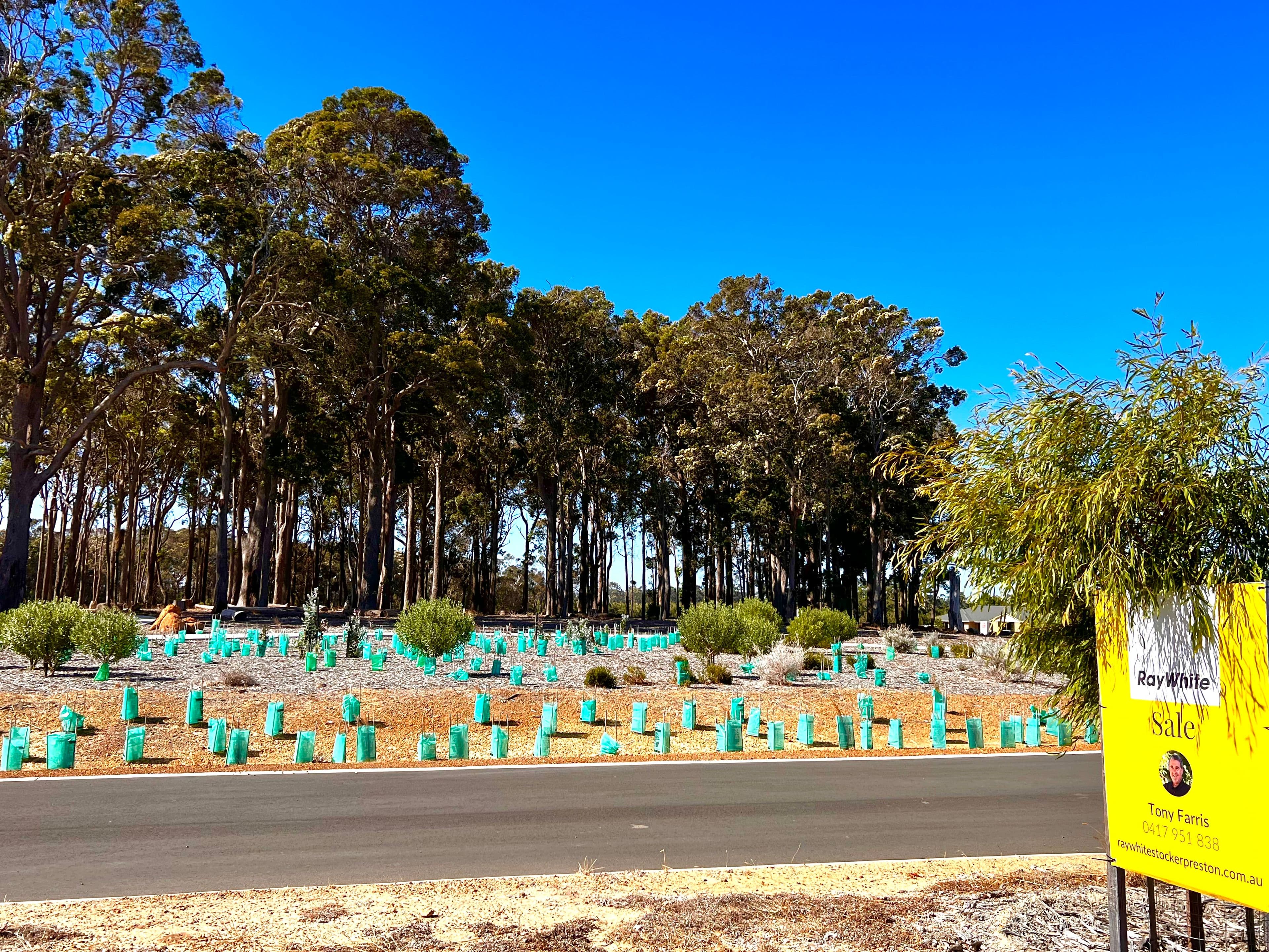 17 Lomandra Way, Witchcliffe WA 6286, Witchcliffe - Thumbnail 5