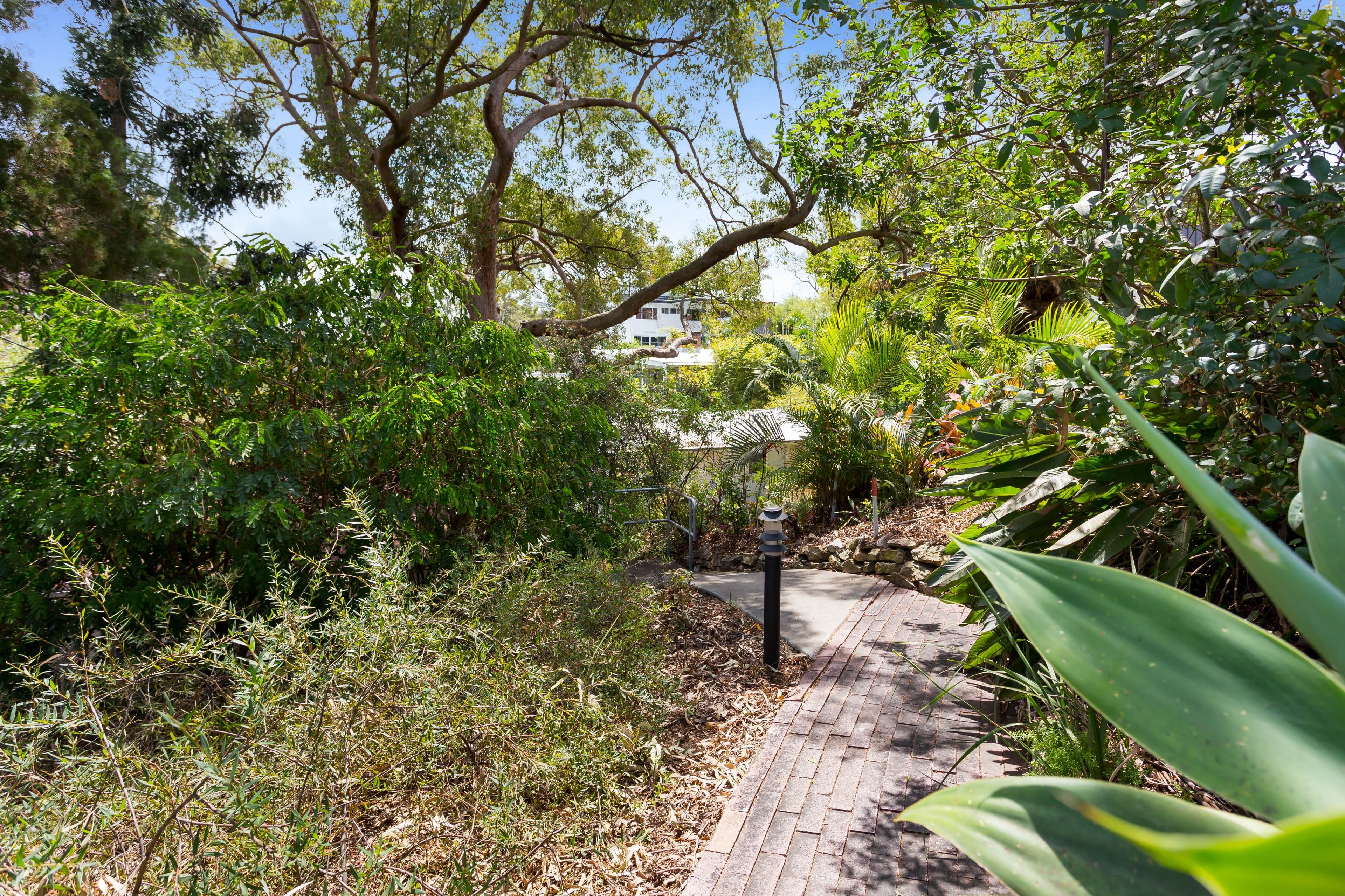 395 Swann Road, St Lucia QLD 4067, St Lucia - Thumbnail 5