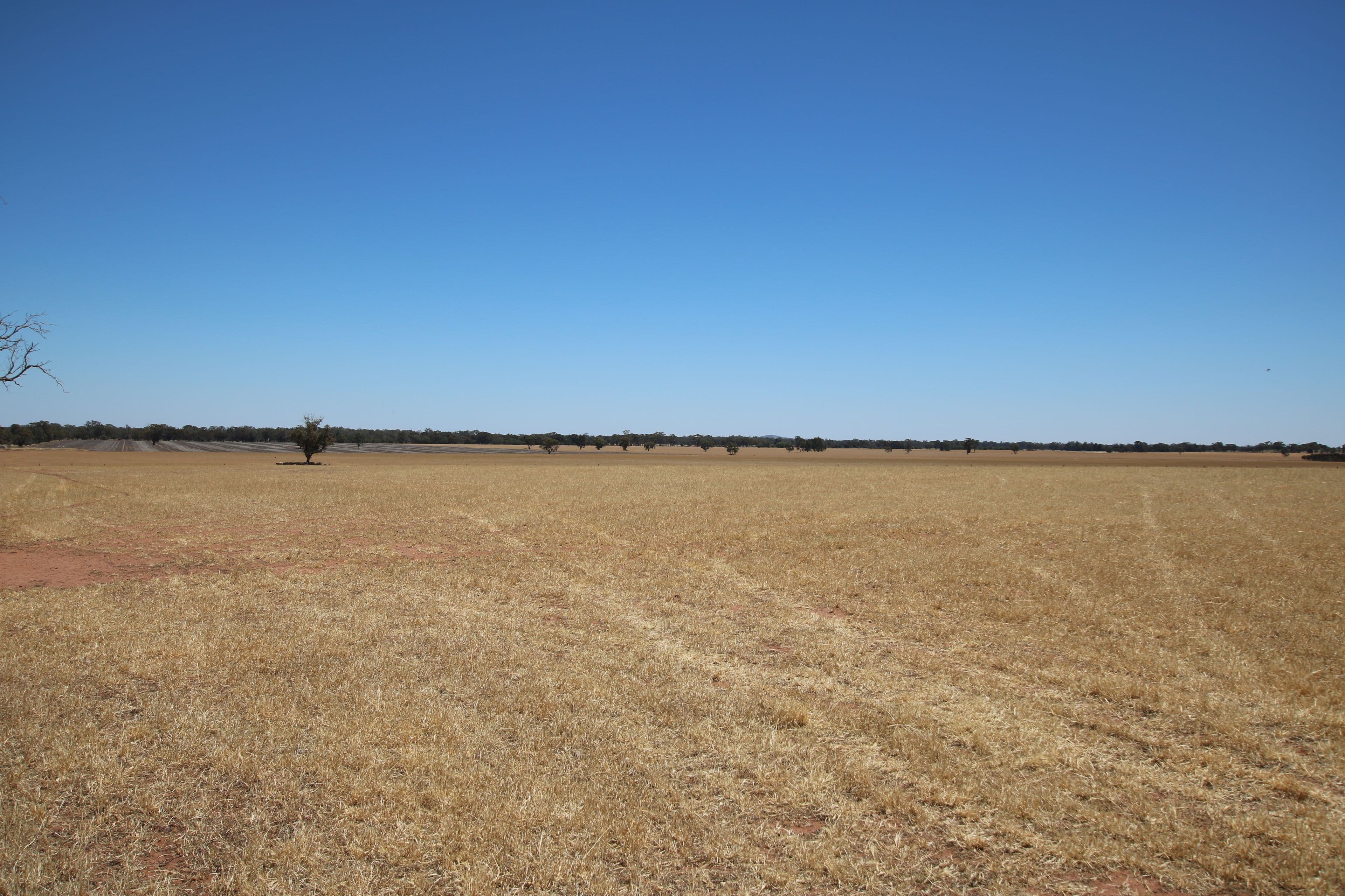 00 Seven Mile Road, Dooboobetic VIC 3478, Dooboobetic - Thumbnail 8