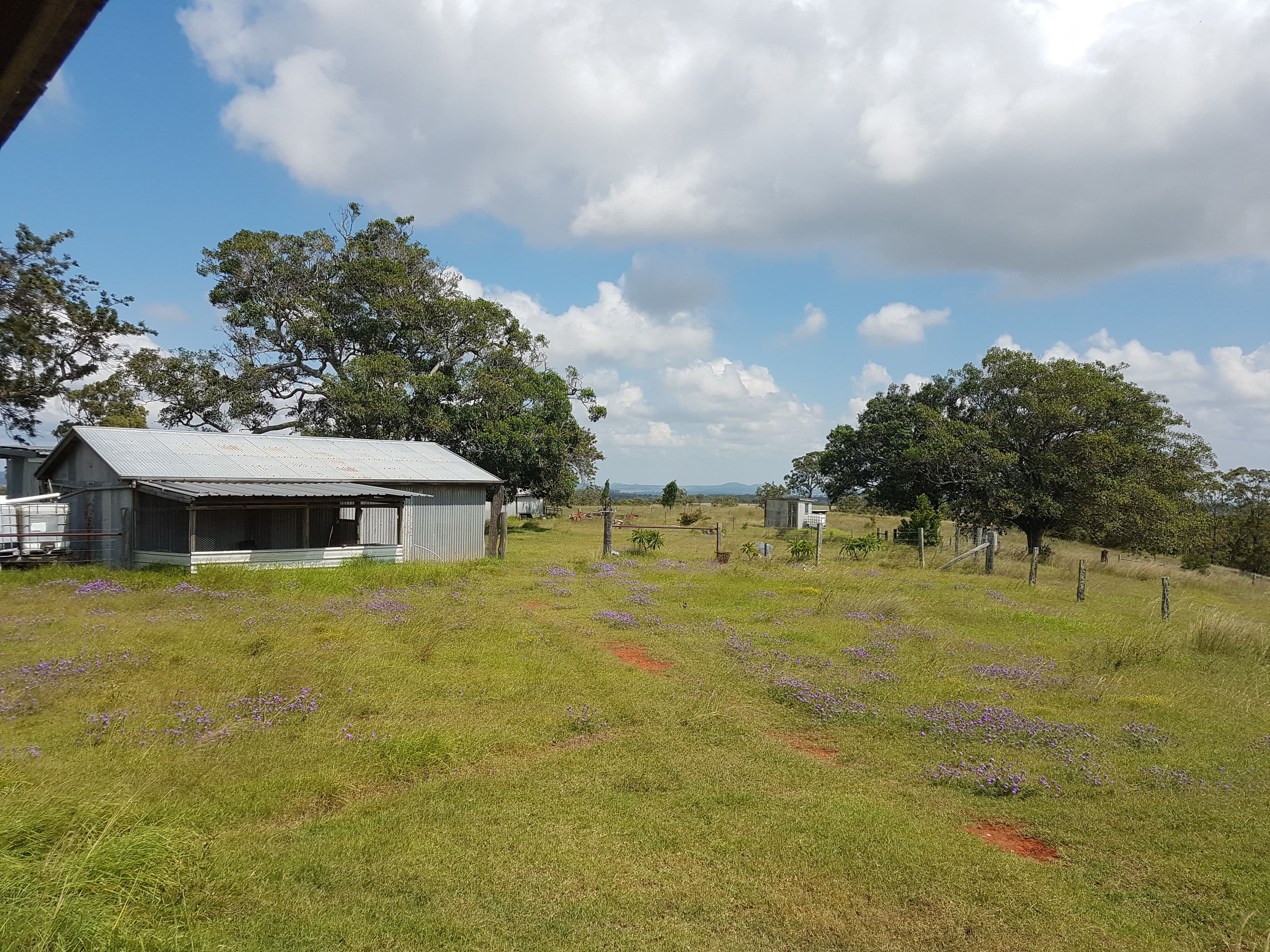 95 Welke Road, Groomsville QLD 4352, Groomsville - Thumbnail 4