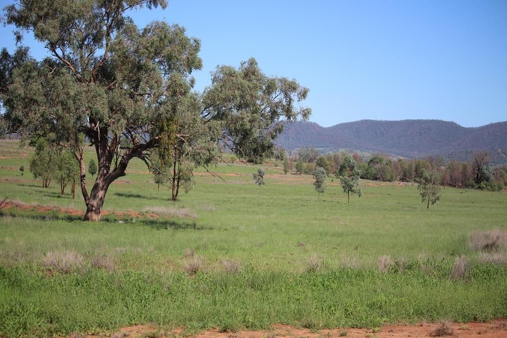 260 Royal Oak Road, Bingara NSW 2404, Bingara - Thumbnail 4