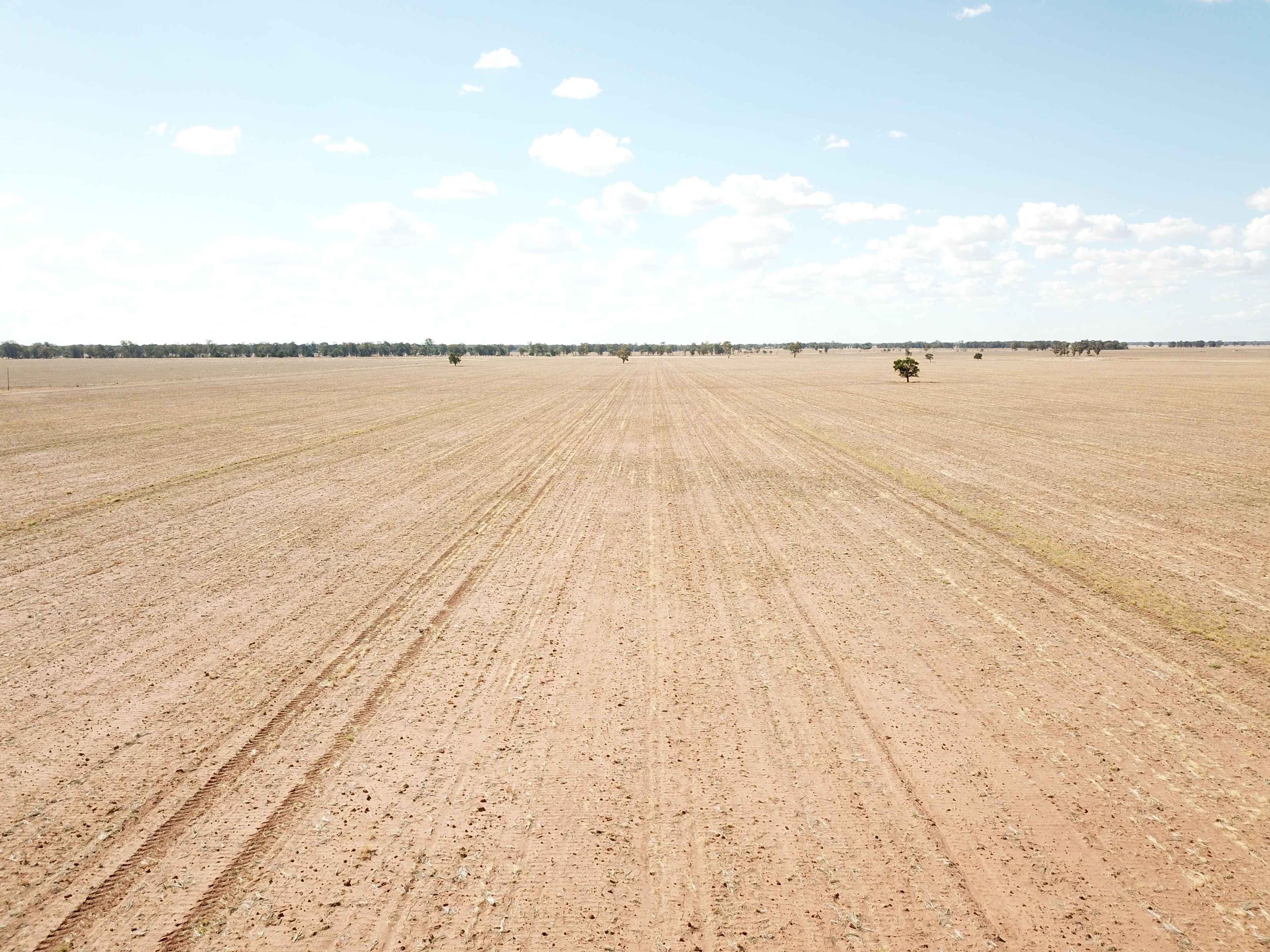 Pett's Block, Pineview Road, NARROMINE NSW 2821, Narromine - Image 1