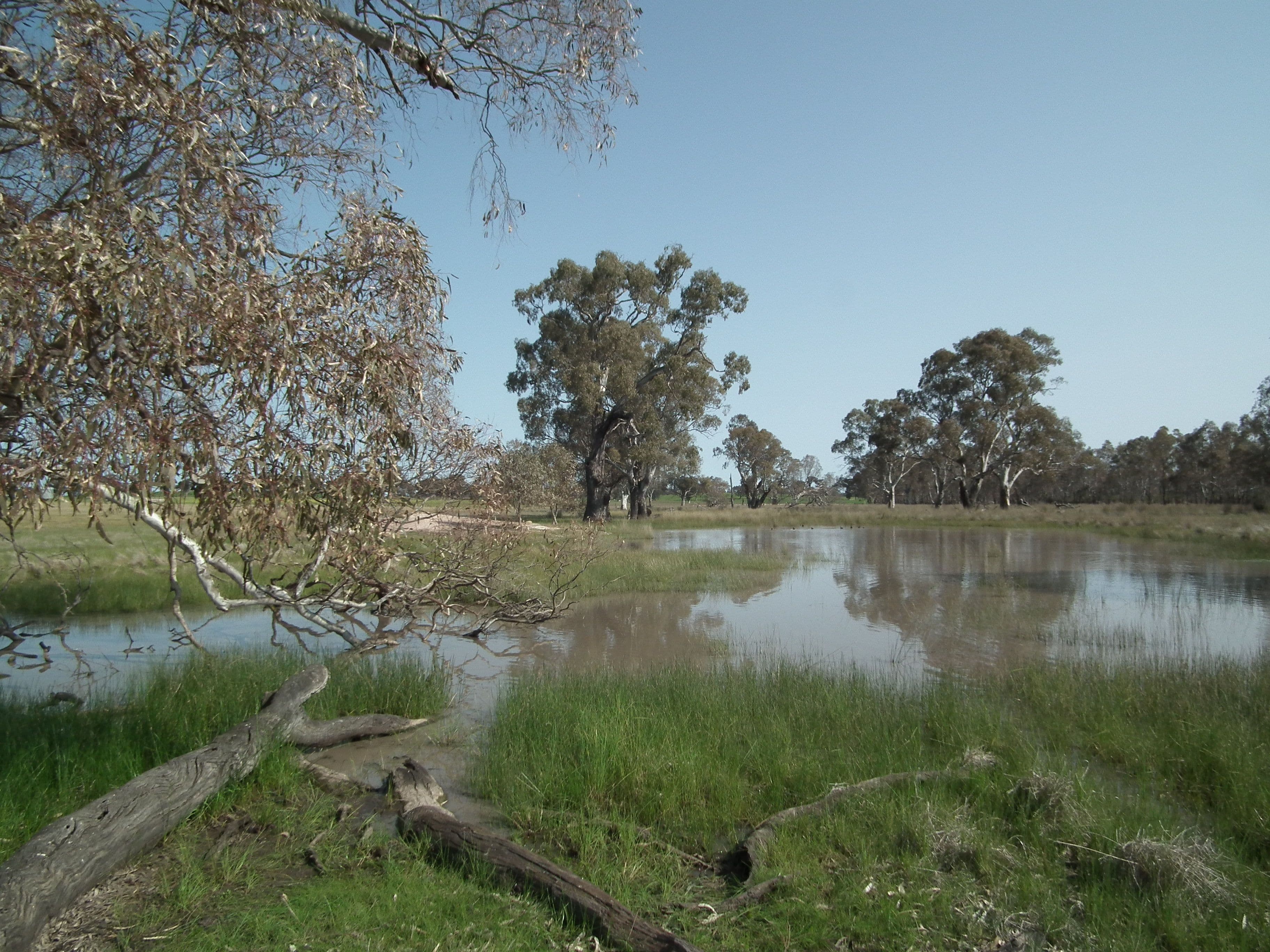 "Snipey" Snipey Road, KIRWANS BRIDGE VIC 3608, Kirwans Bridge - Thumbnail 6
