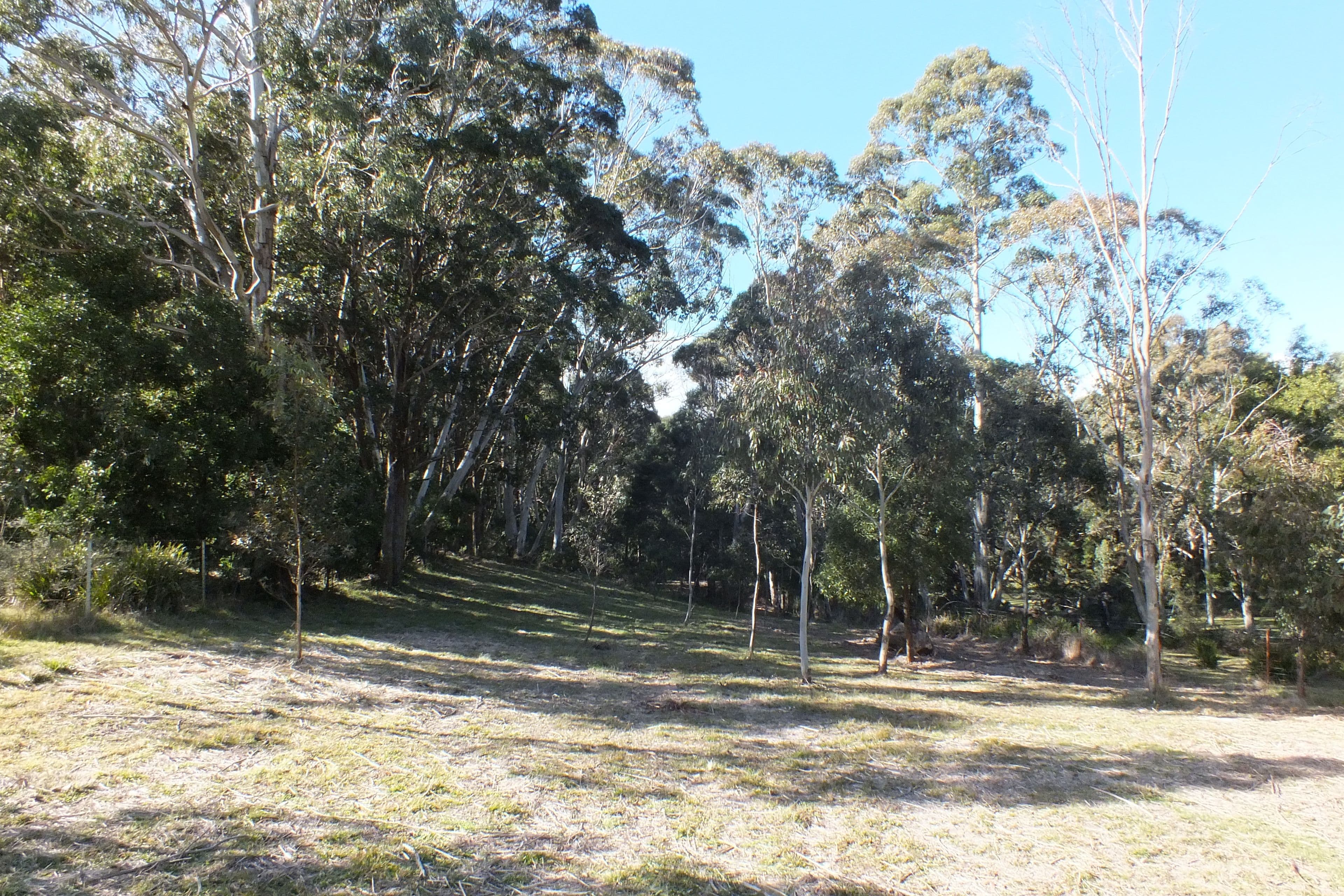 Lot 9 Jenolan Caves Road, Hampton NSW 2790, Hampton - Thumbnail 3