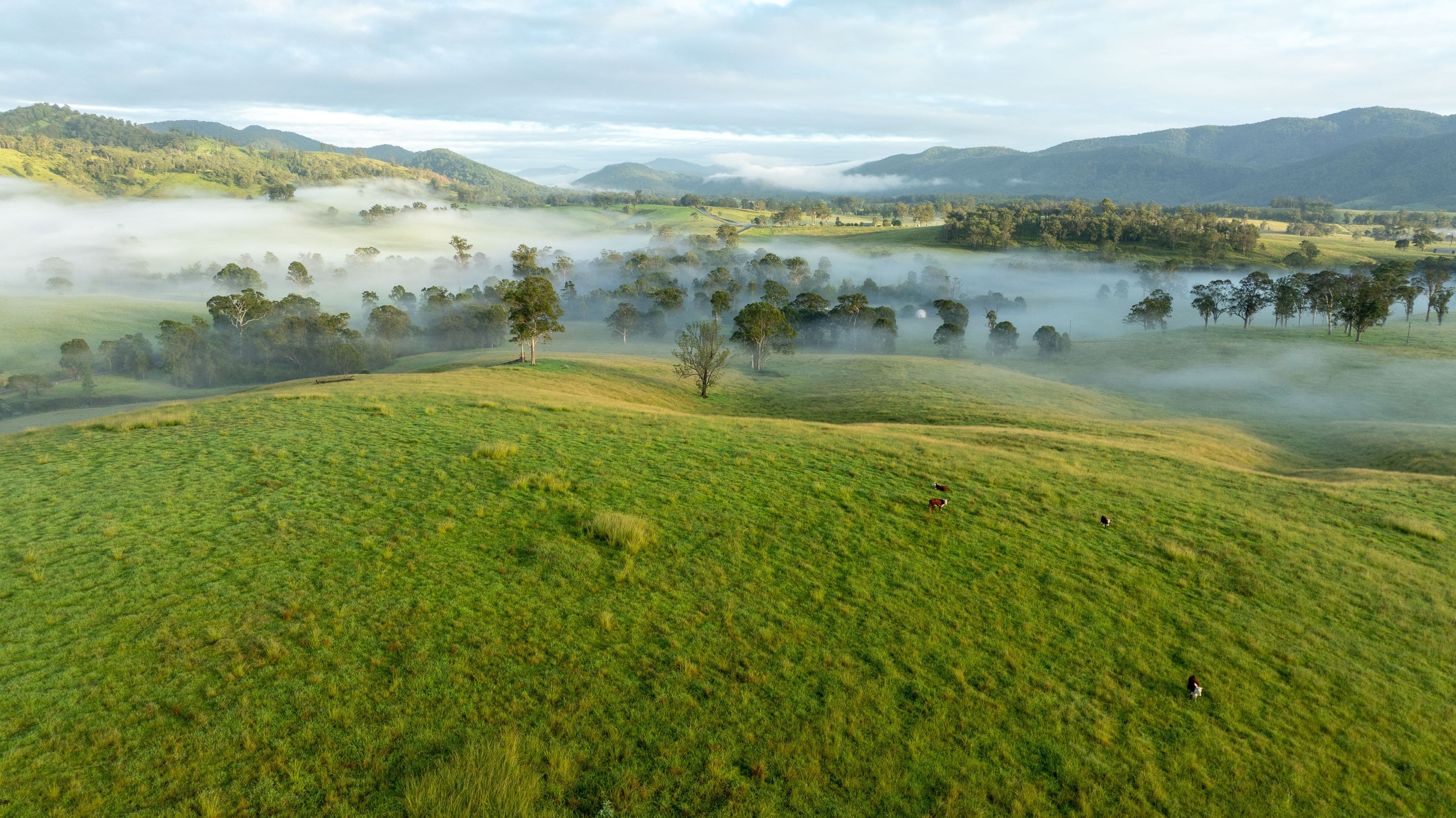 1148 Thunderbolts Way, Bowman NSW 2422, Bowman - Thumbnail 6