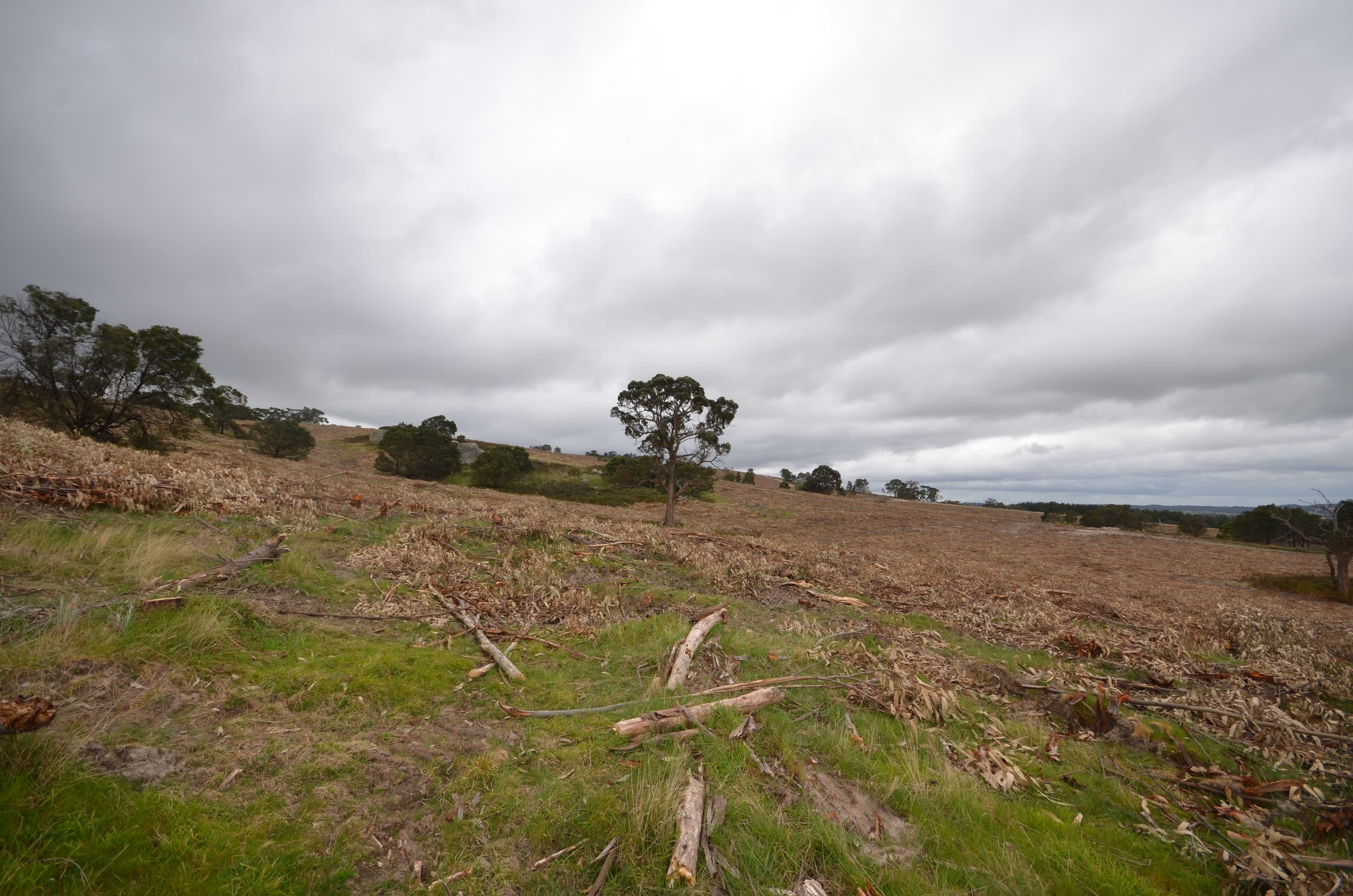 'Tiley' Tip Road, RAGLAN VIC 3373, Raglan - Thumbnail 7