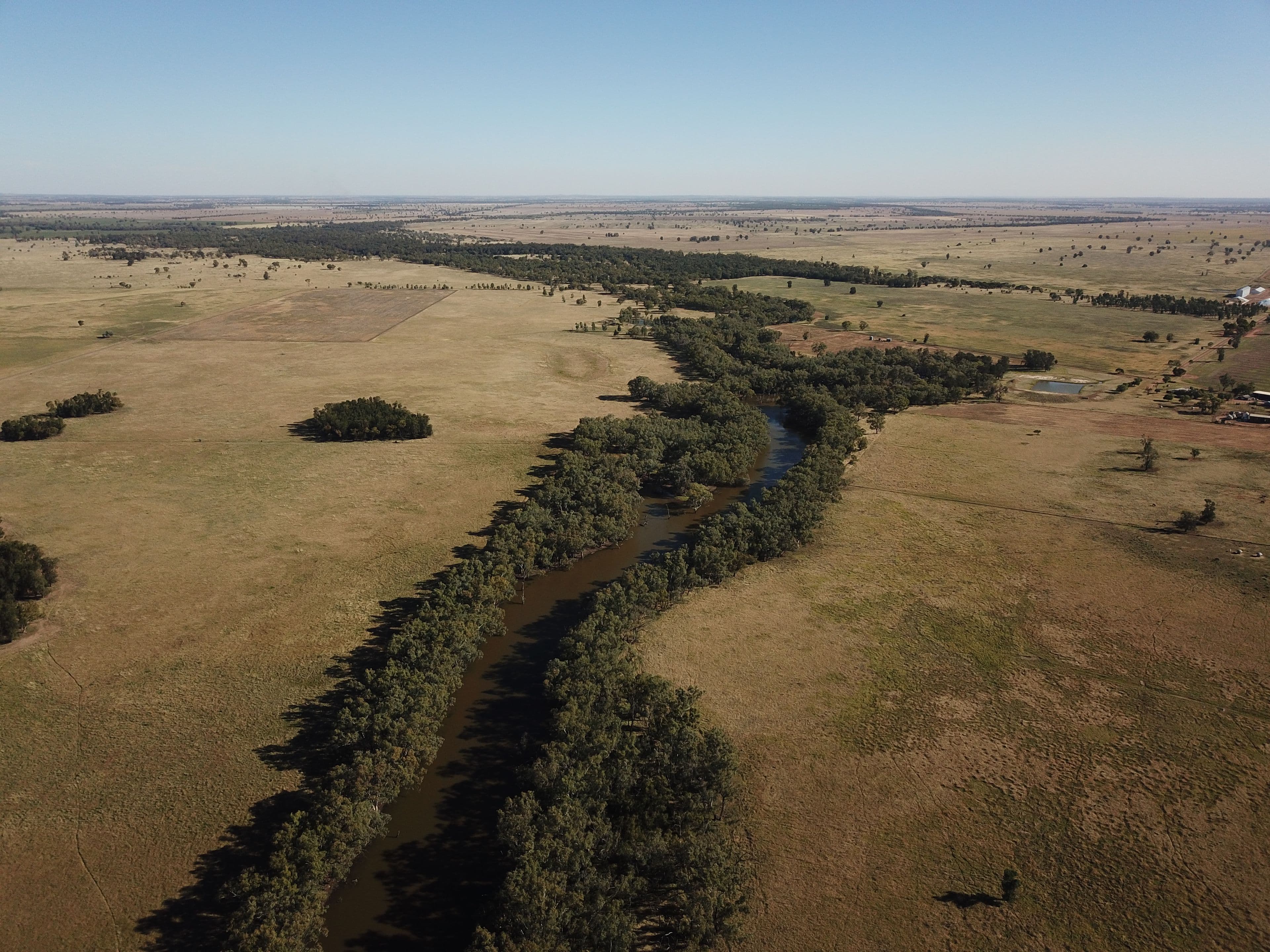 Nerokewa 79 Reakes Road, Condobolin NSW 2877, Condobolin - Thumbnail 8