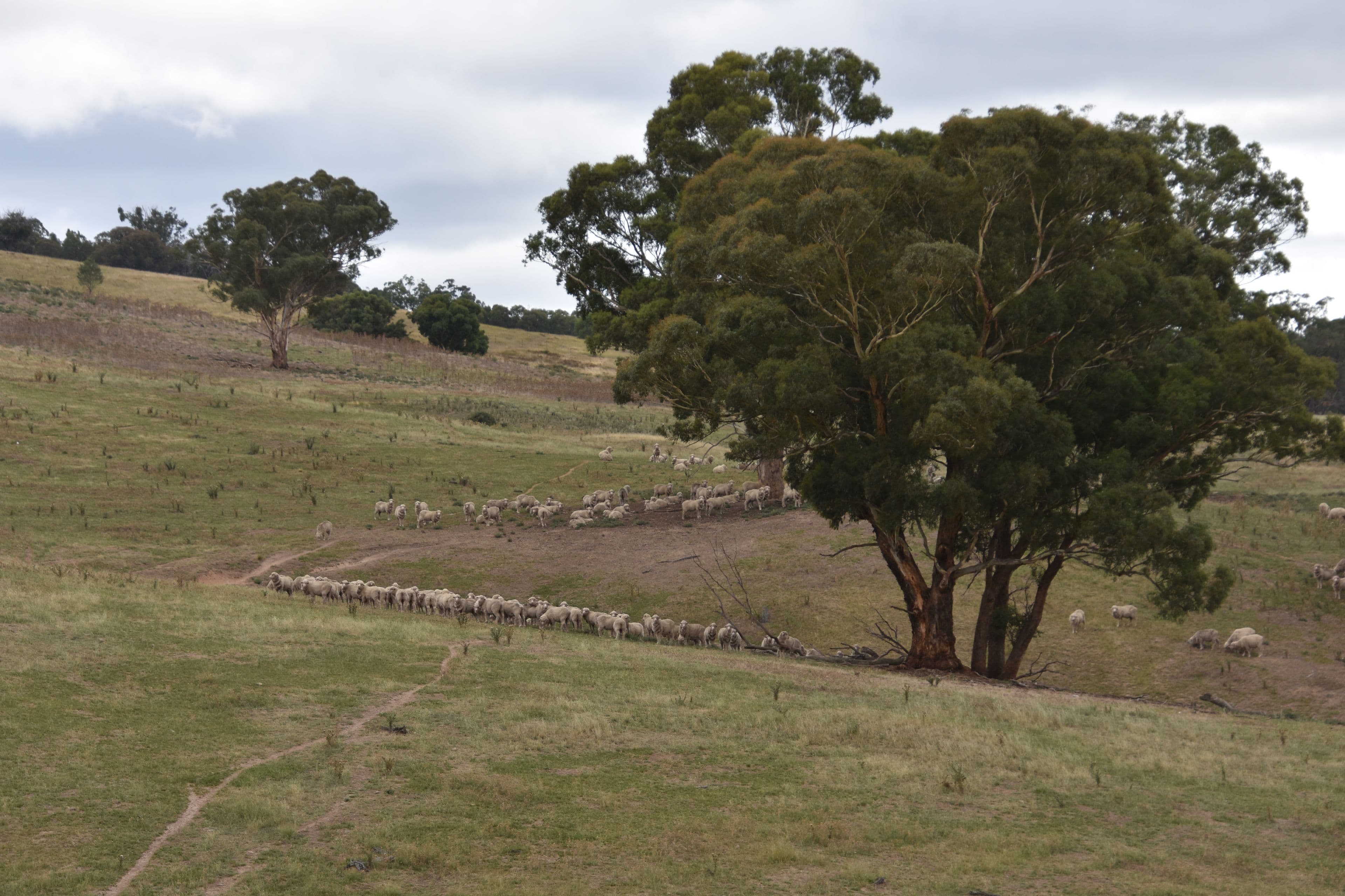 2727 Limekilns Road, Limekilns NSW 2795, Limekilns - Thumbnail 6