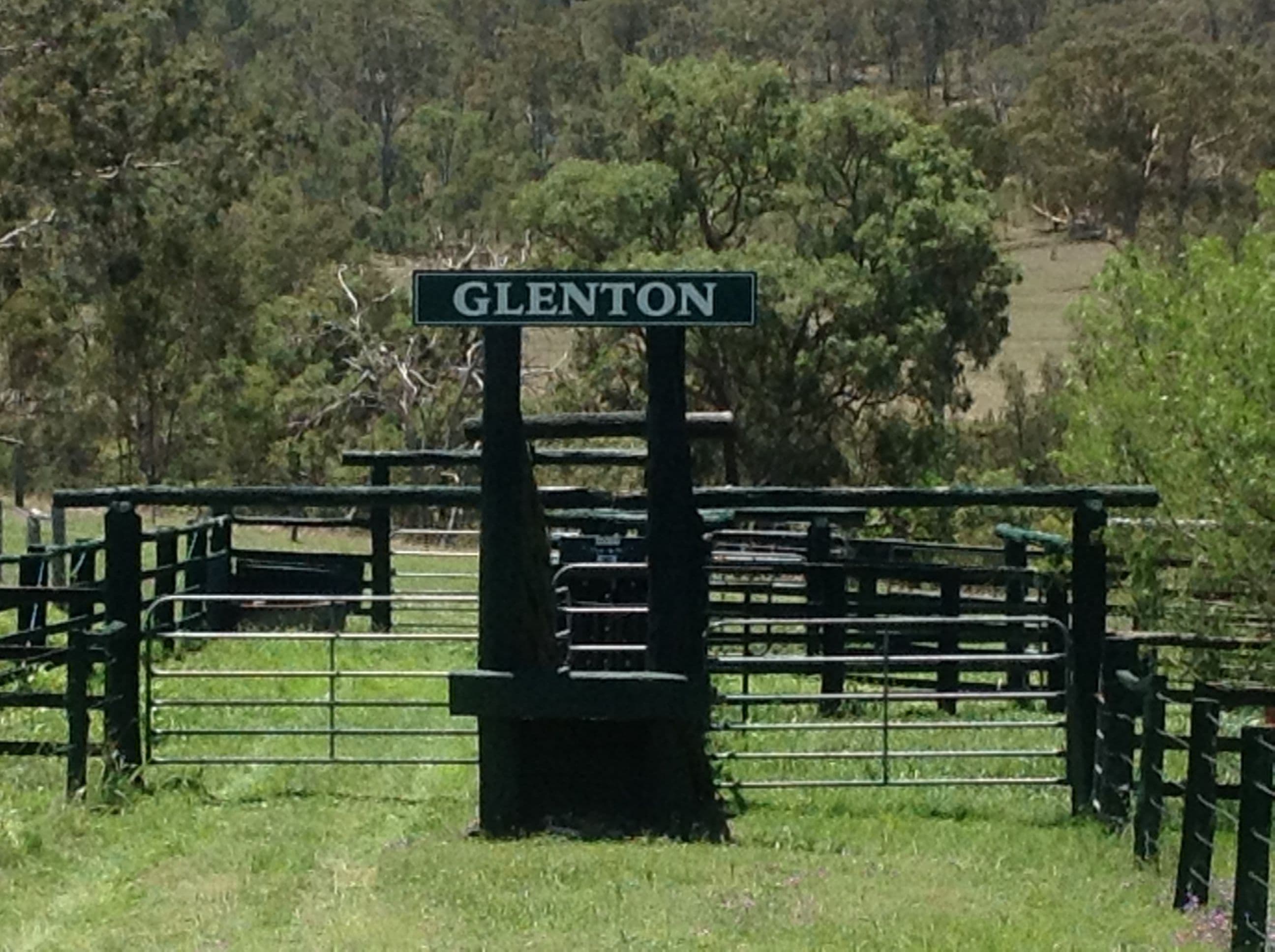 "Glenton" 526 South Branch Road, MARYVALE QLD 4370, Maryvale - Thumbnail 5