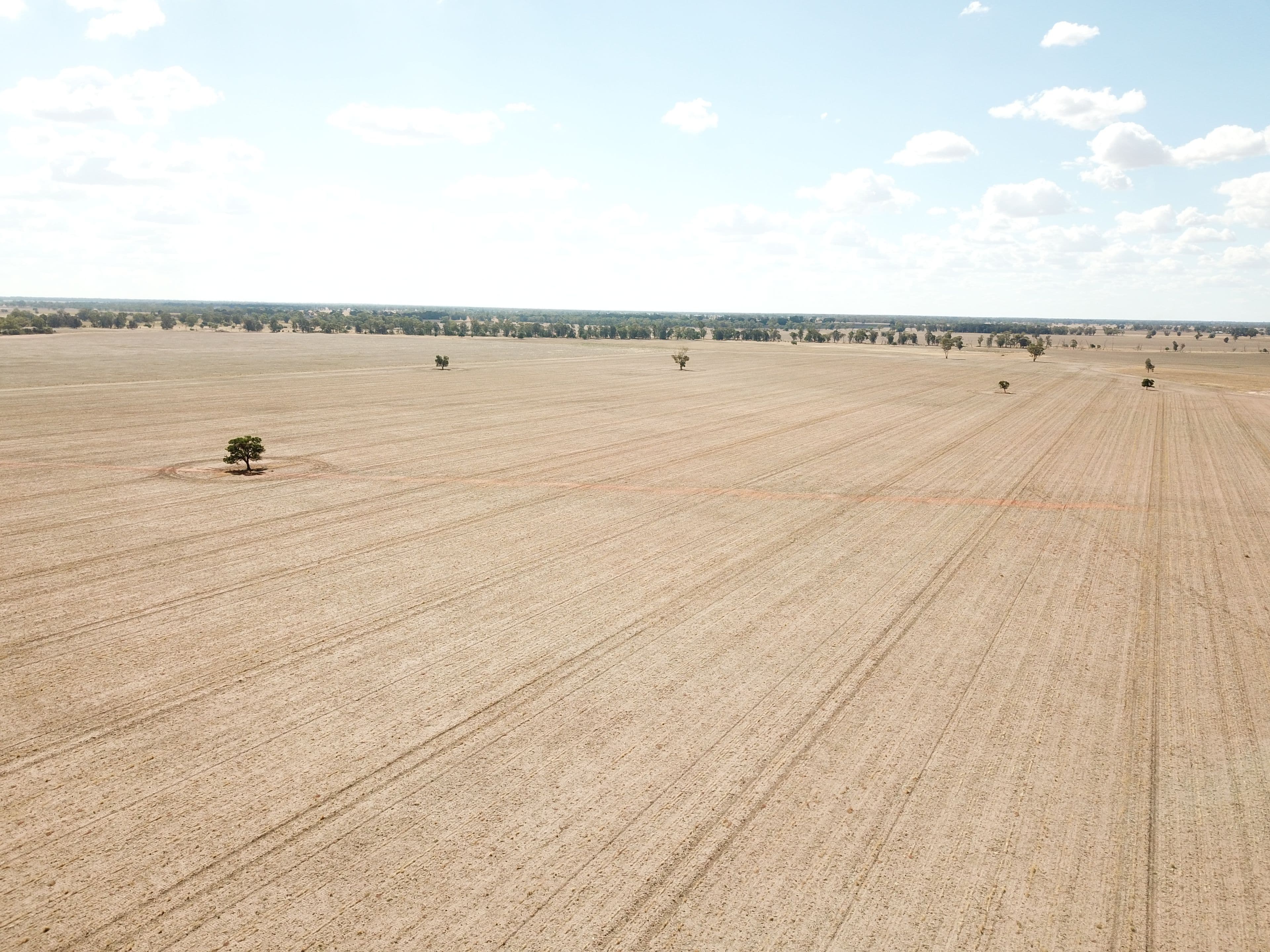 Pett's Block, Pineview Road, NARROMINE NSW 2821, Narromine - Thumbnail 8