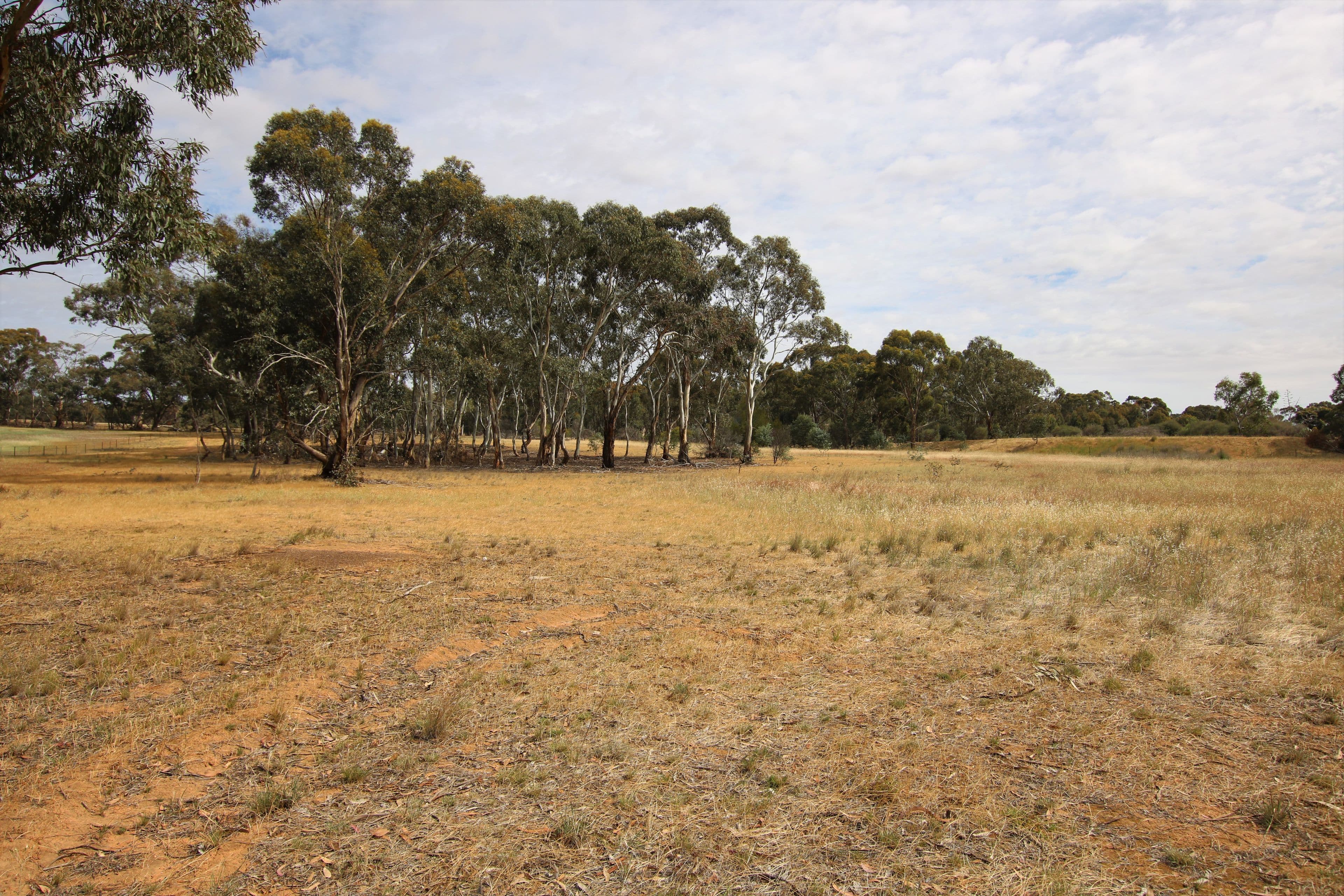 00 Charlton-St Arnaud Road, St Arnaud VIC 3478, St Arnaud - Thumbnail 2