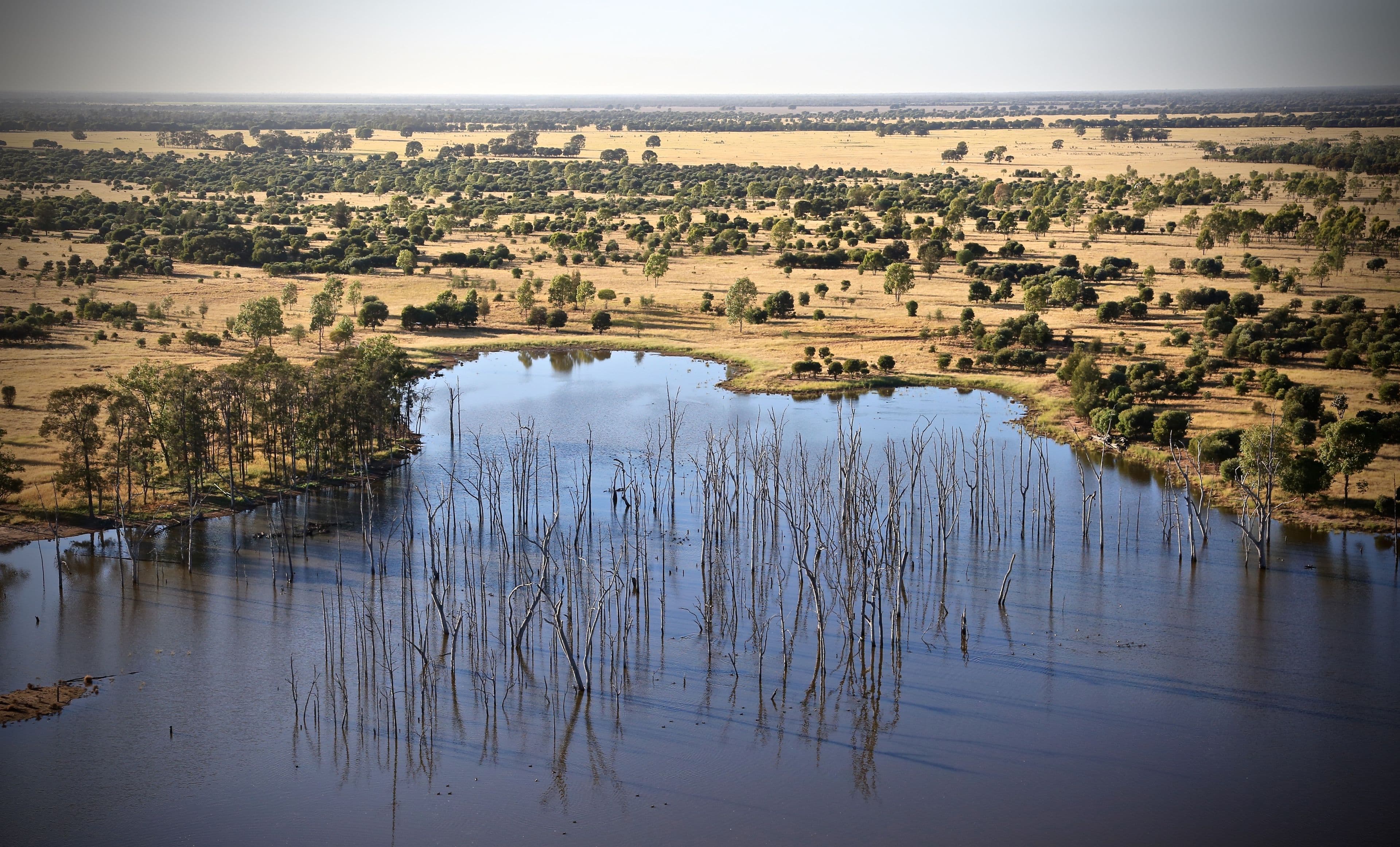 Condamine QLD 4416, Condamine - Thumbnail 3