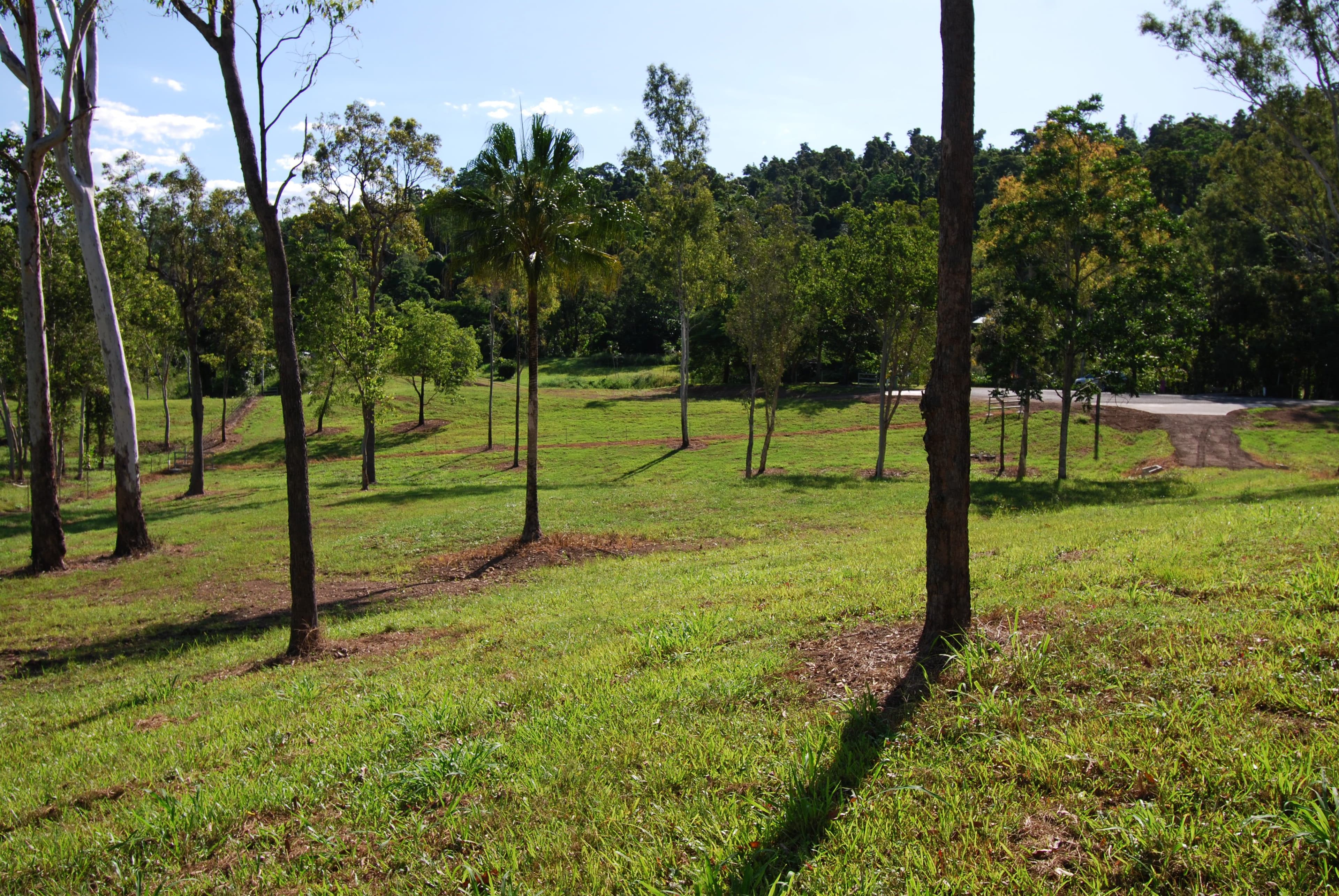 Lot 2 Domenica Road, Sugarloaf QLD 4800, Sugarloaf - Thumbnail 2