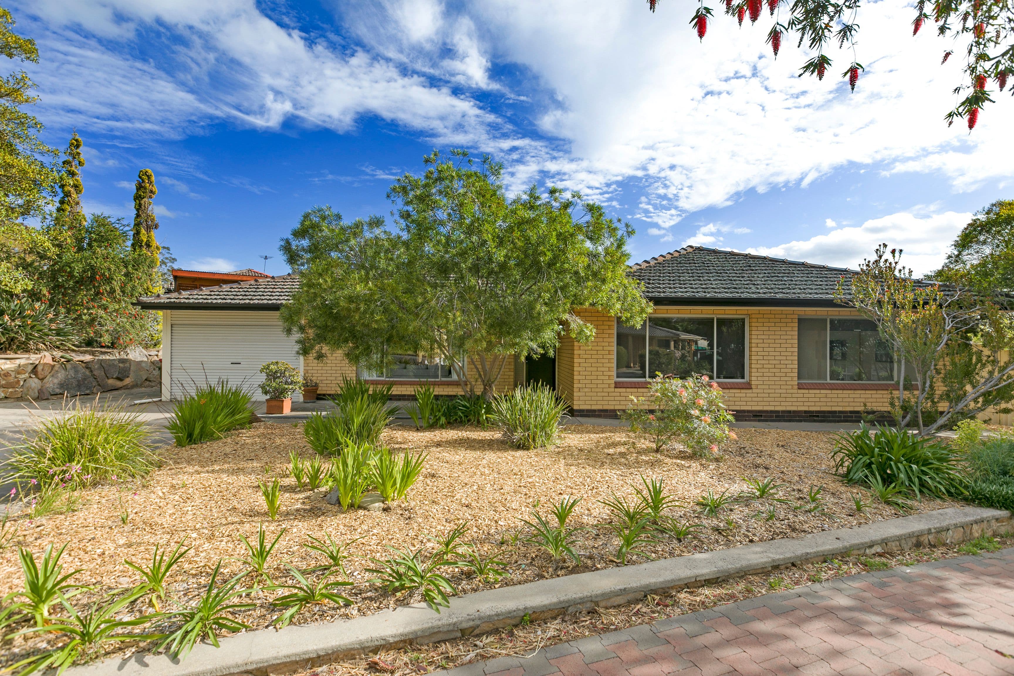7 Delange Avenue, Banksia Park SA 5091, Banksia Park - Image 1