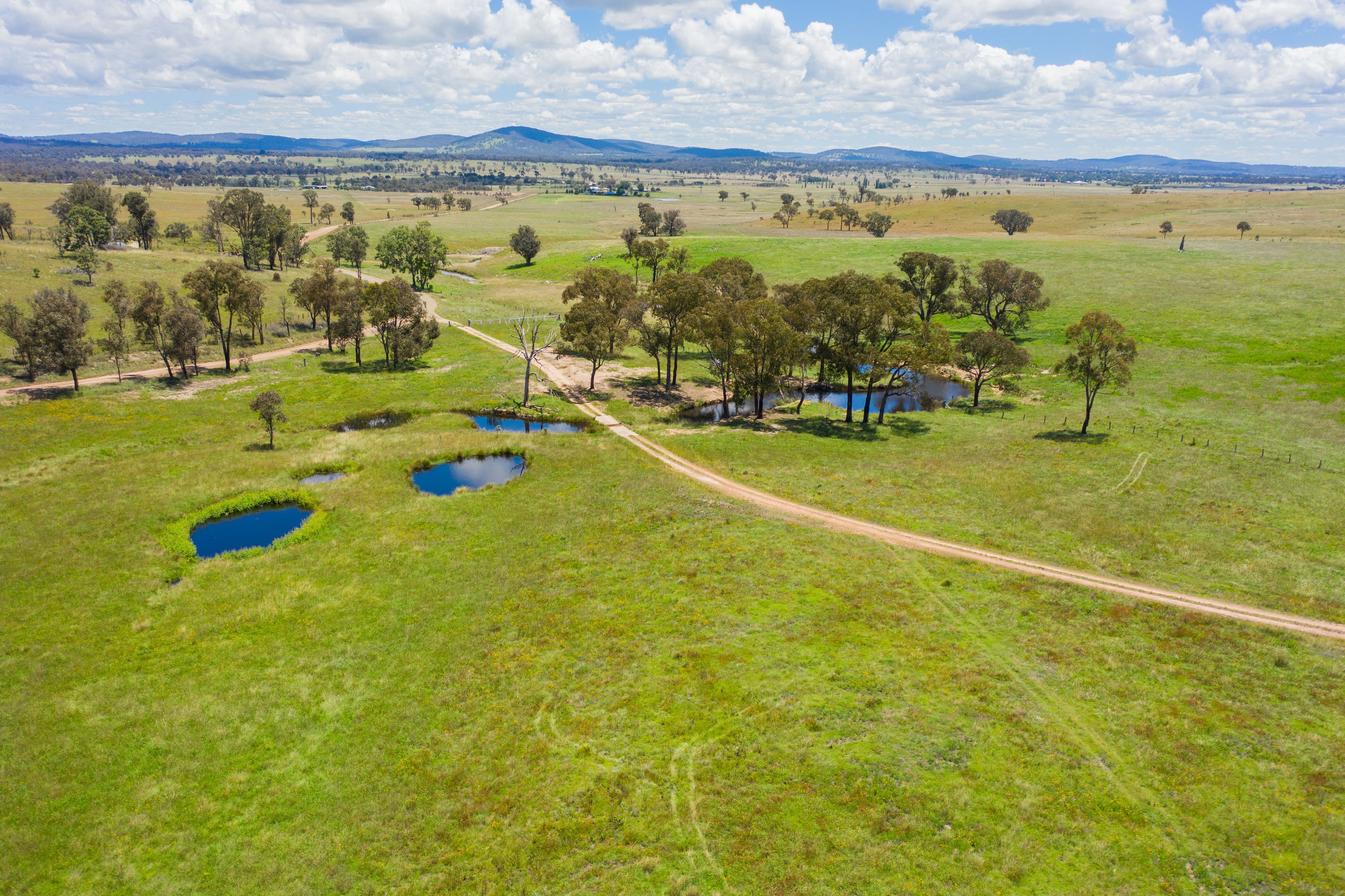161 Nine Mile Road, Dundee NSW 2370, Dundee - Thumbnail 6