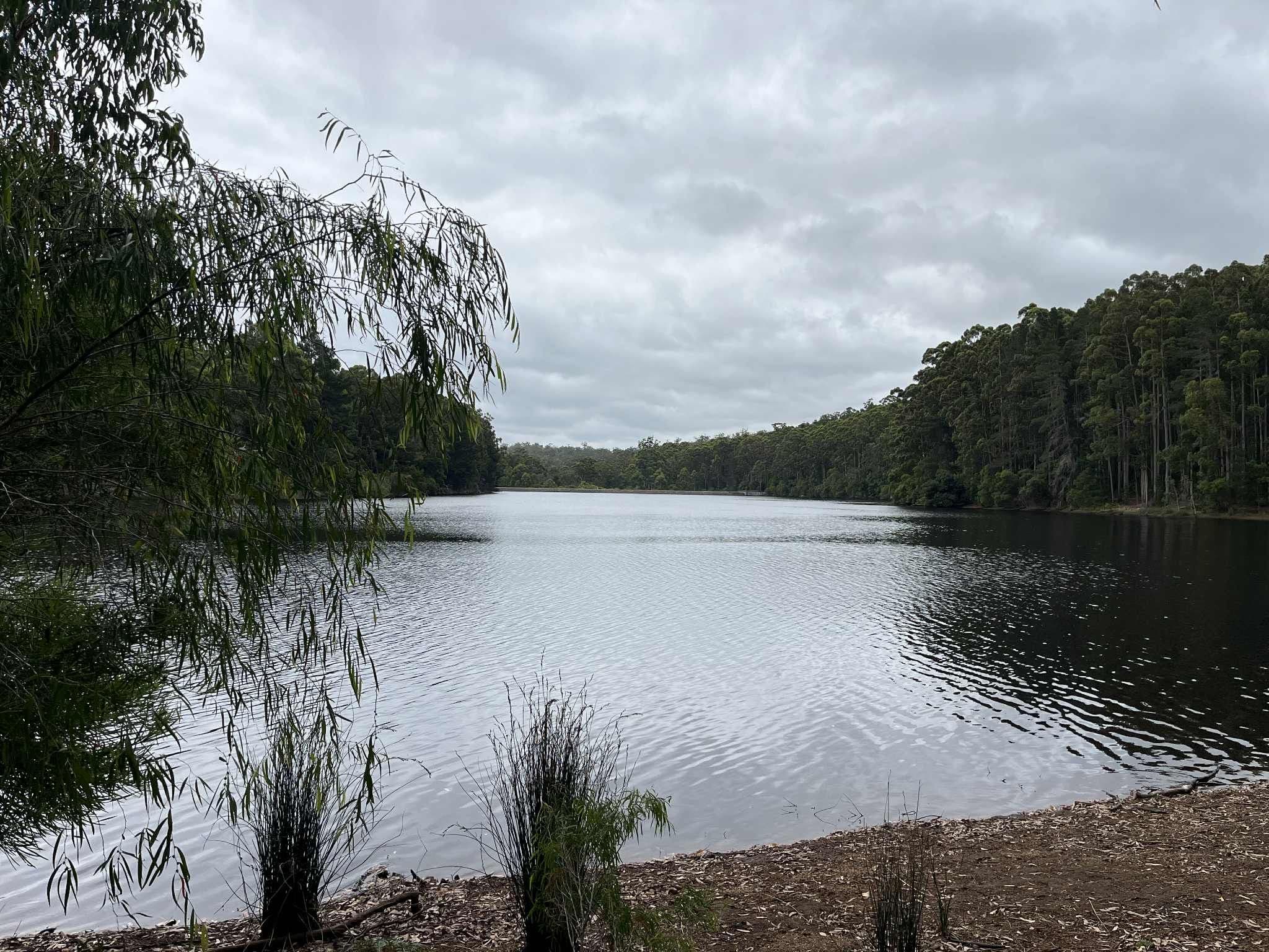 Karri Lane, Quinninup WA 6258, Quinninup - Image 1