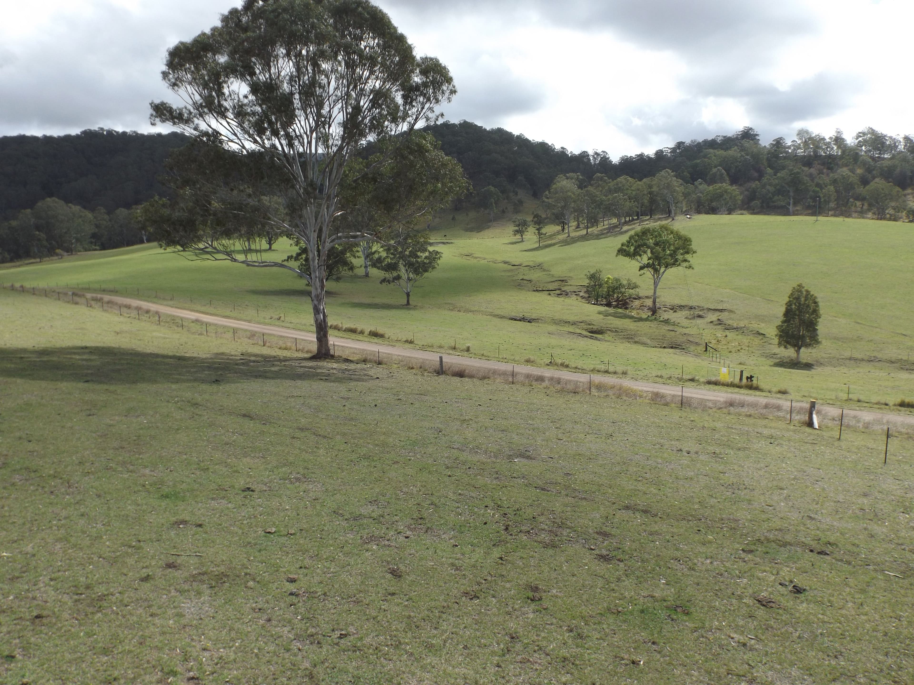 Lot 84 Lochinvar Road, Wherrol Flat NSW 2429, Wherrol Flat - Thumbnail 3