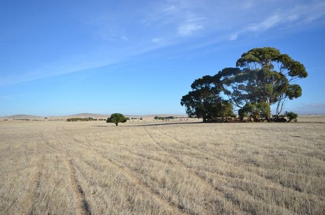 "Kilto" Old Belcunda Road, Mount Bryan SA 5418, Mount Bryan - Thumbnail 7