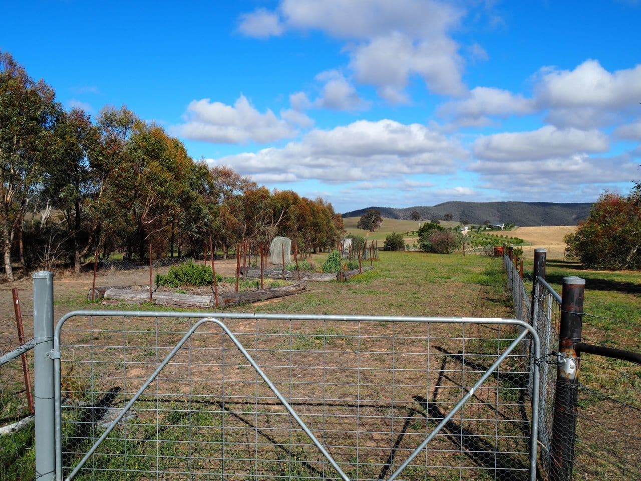 2185 Limekilns Road, Bathurst NSW 2795, Bathurst - Thumbnail 7