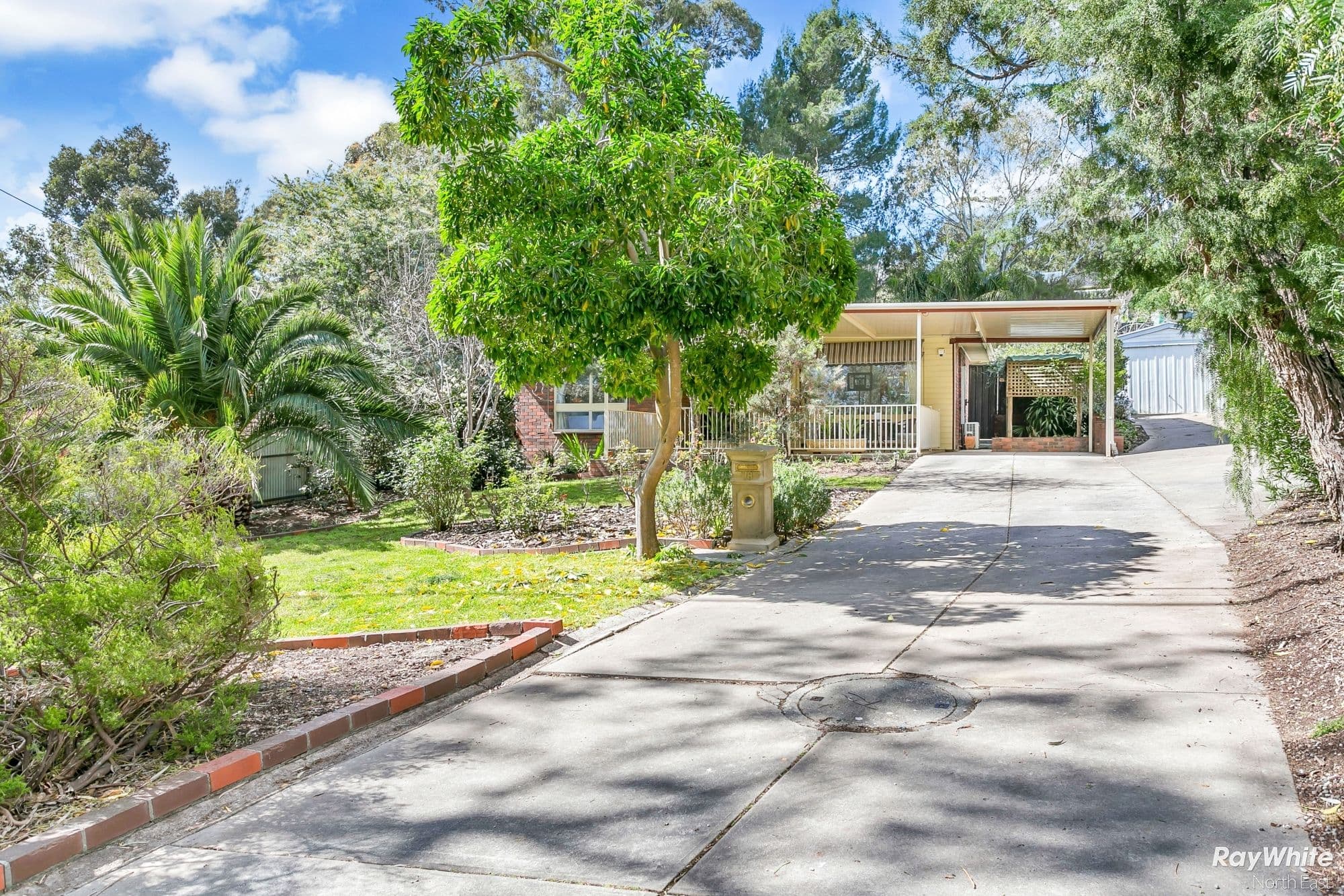 78 Haines Road, Banksia Park SA 5091, Banksia Park - Thumbnail 2