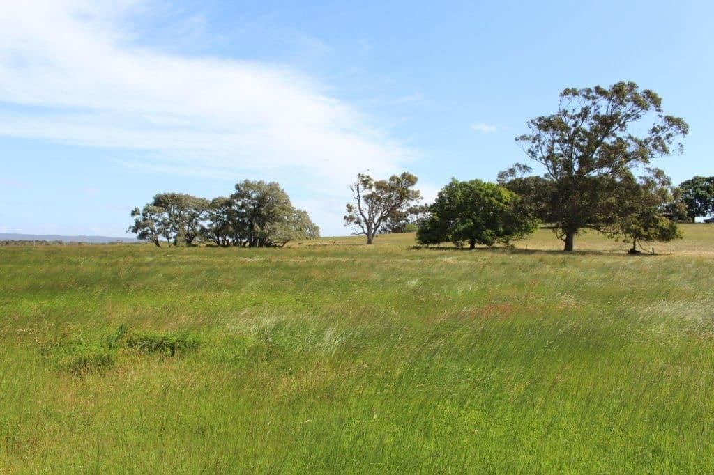 73 Belmore Road, Youngs Siding WA 6330, Youngs Siding - Thumbnail 6
