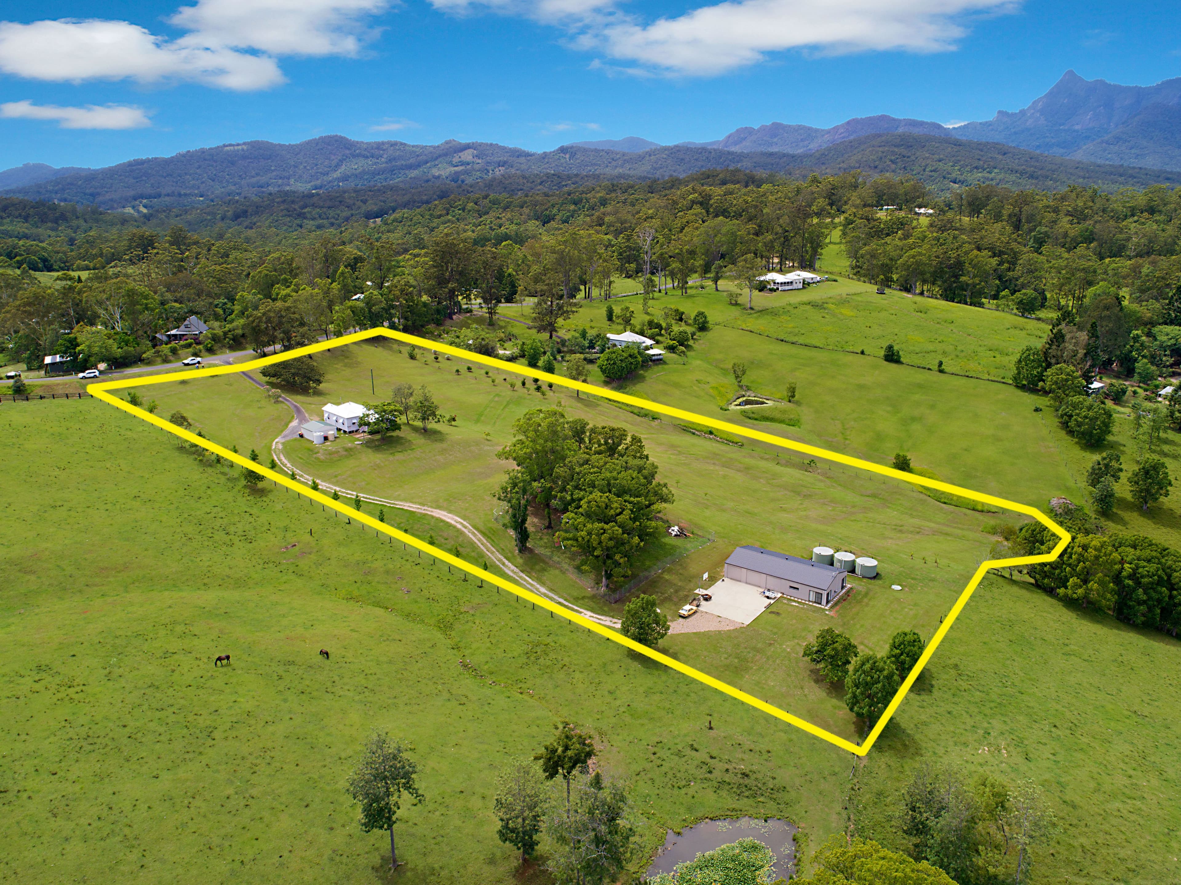 37 Bald Mountain Road, Limpinwood NSW 2484, Limpinwood - Thumbnail 2