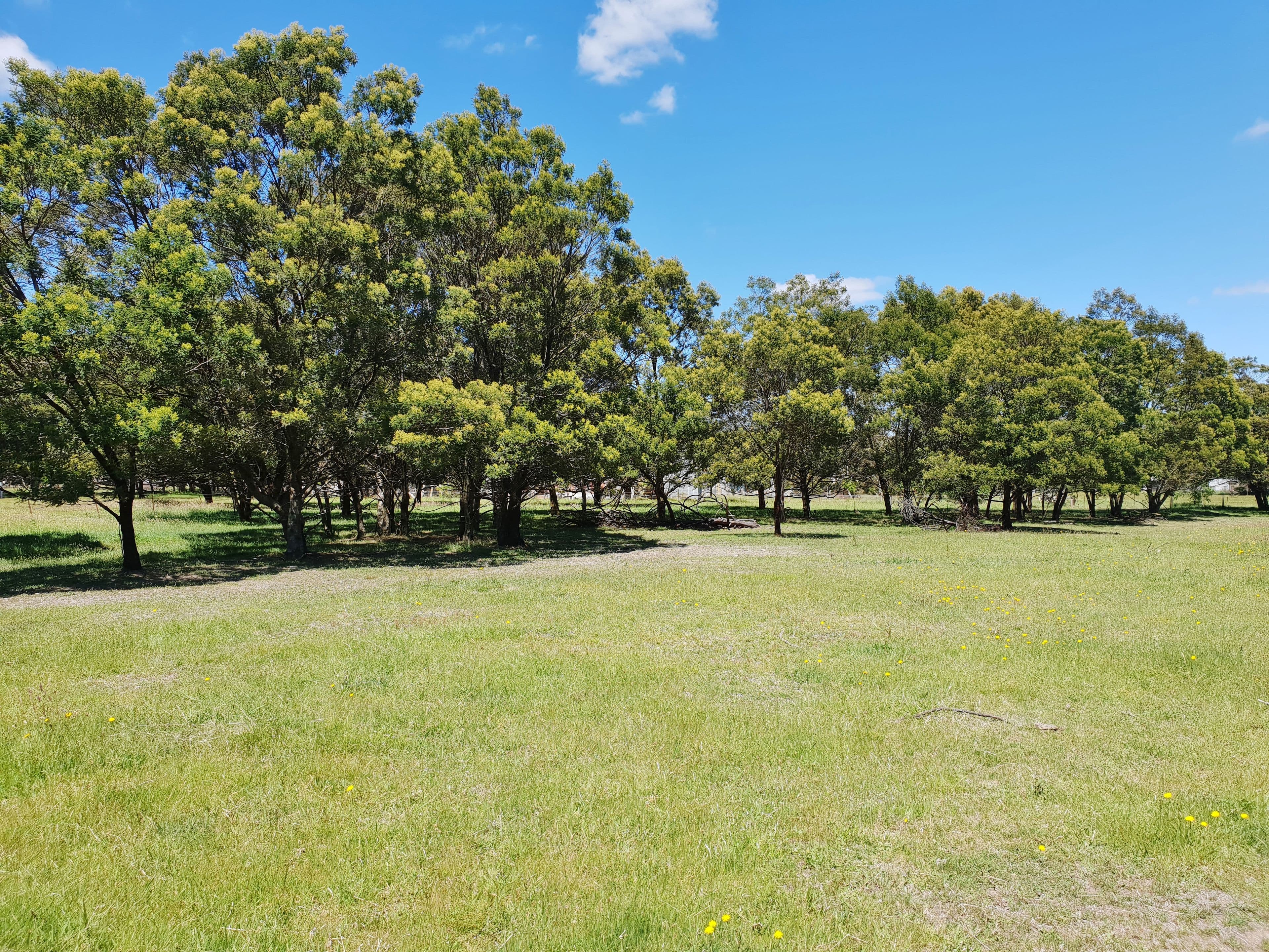 2 Roberts Street, Majors Creek NSW 2622, Majors Creek - Thumbnail 5