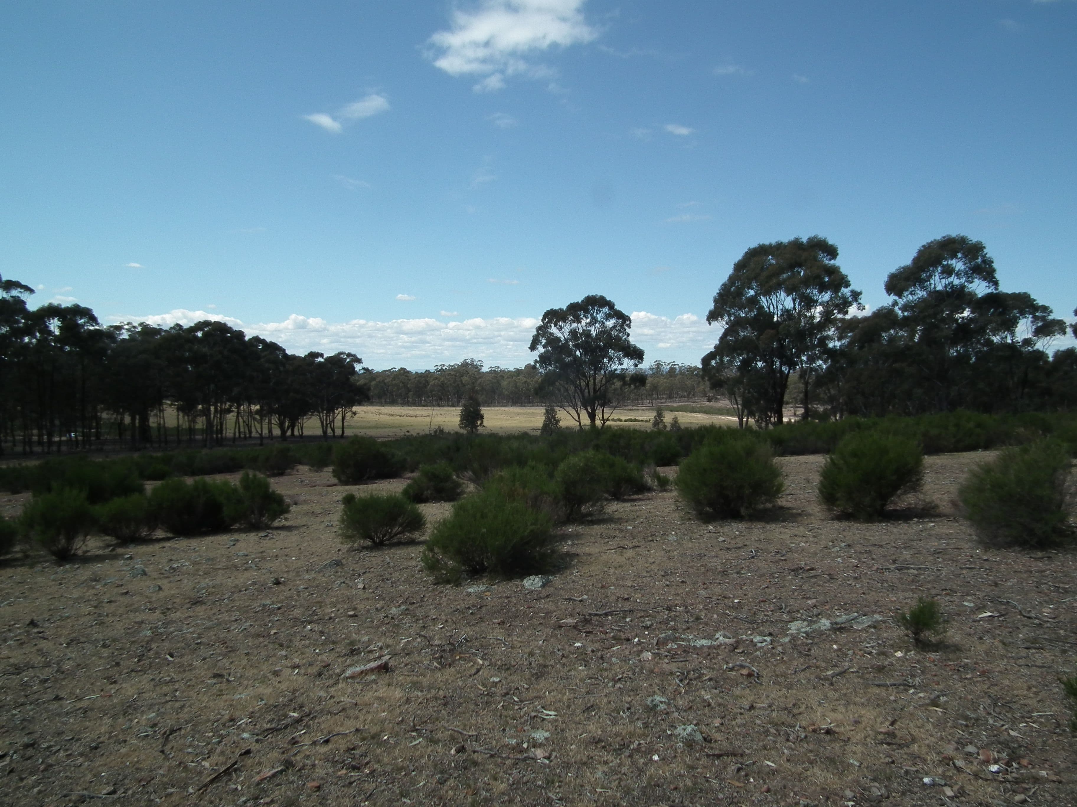 CA 20 and 21 Delaney Road, Nagambie VIC 3608, Nagambie - Thumbnail 4