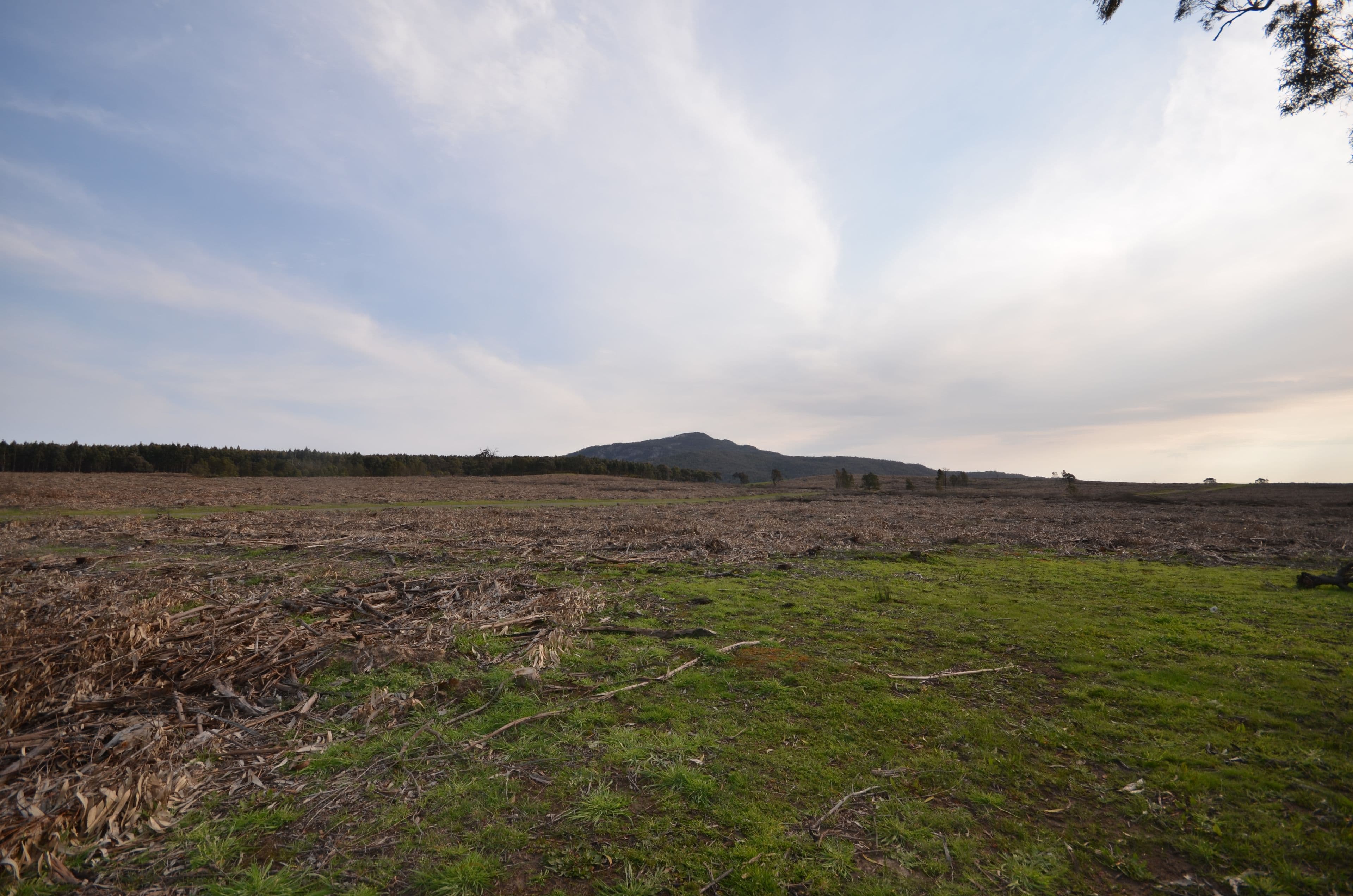 Pilgrim South Buangor - Ben Nevis Road, WARRAK VIC 3377, Warrak - Thumbnail 7