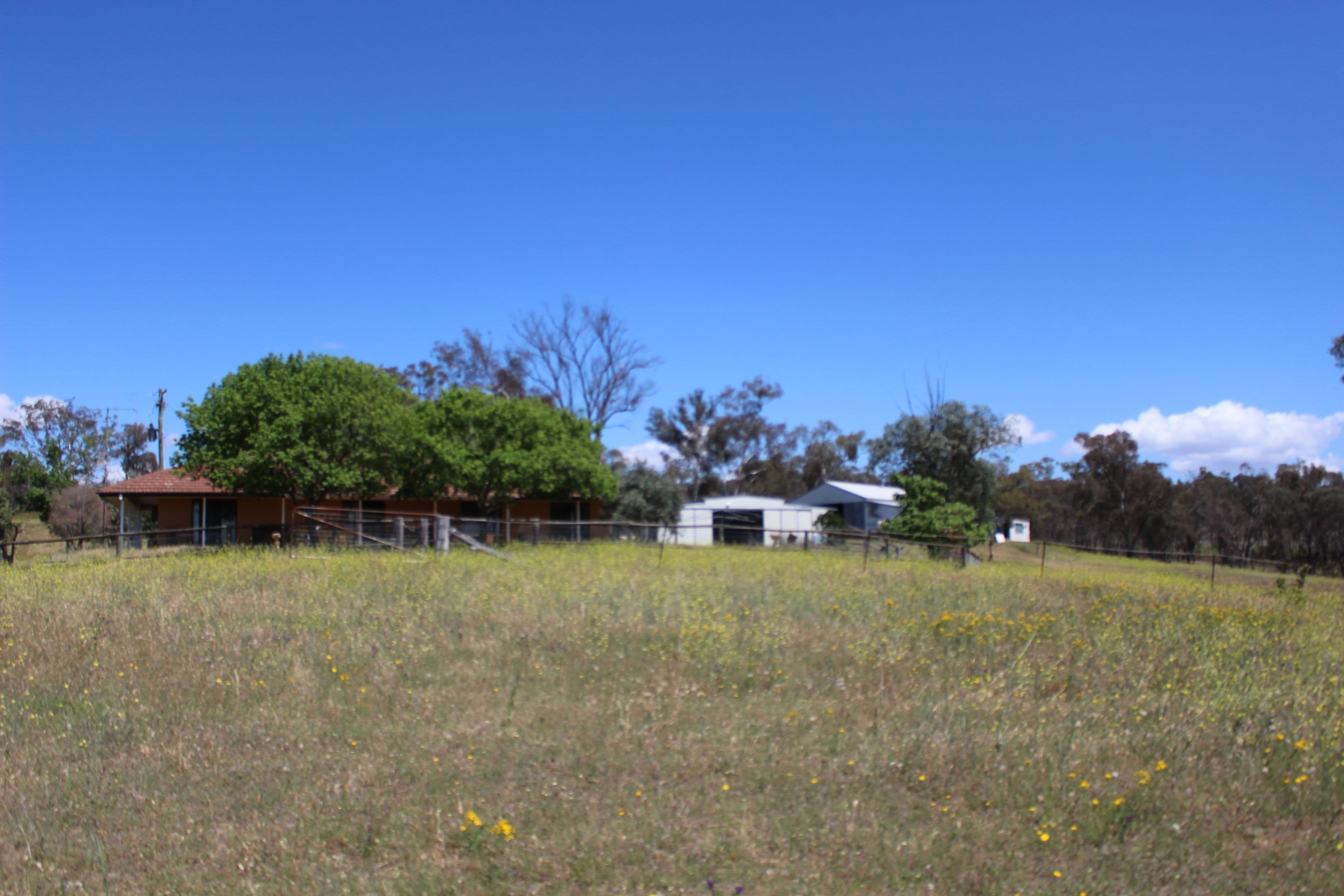 1503 Mitchell Highway, The Rocks NSW 2795, The Rocks - Thumbnail 7