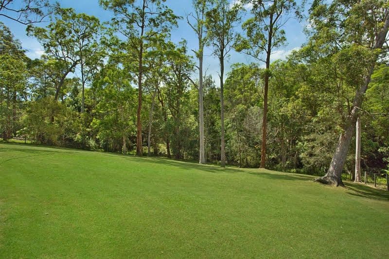 13 Verdure Place, Bonogin QLD 4213, Bonogin - Thumbnail 5