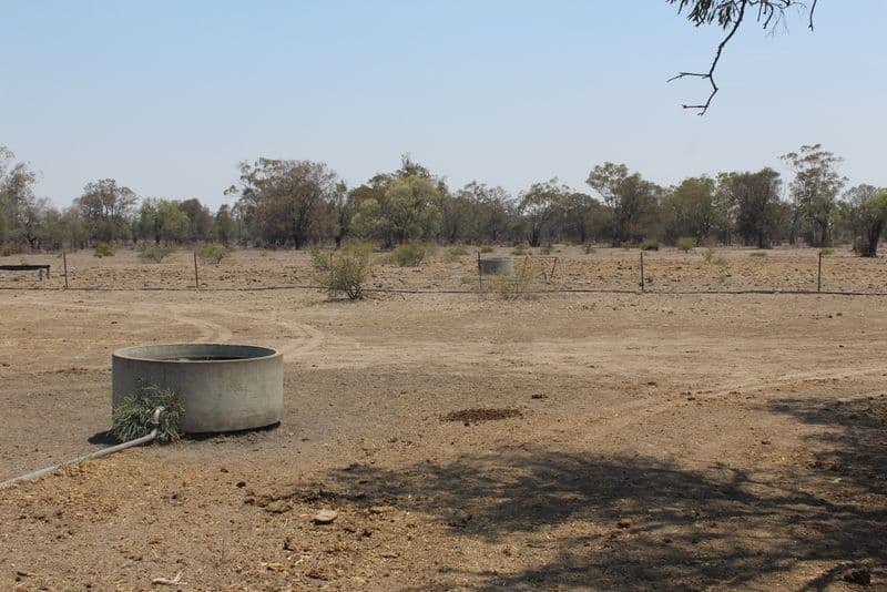 '' Kyona", Moree NSW 2400, Moree - Thumbnail 8