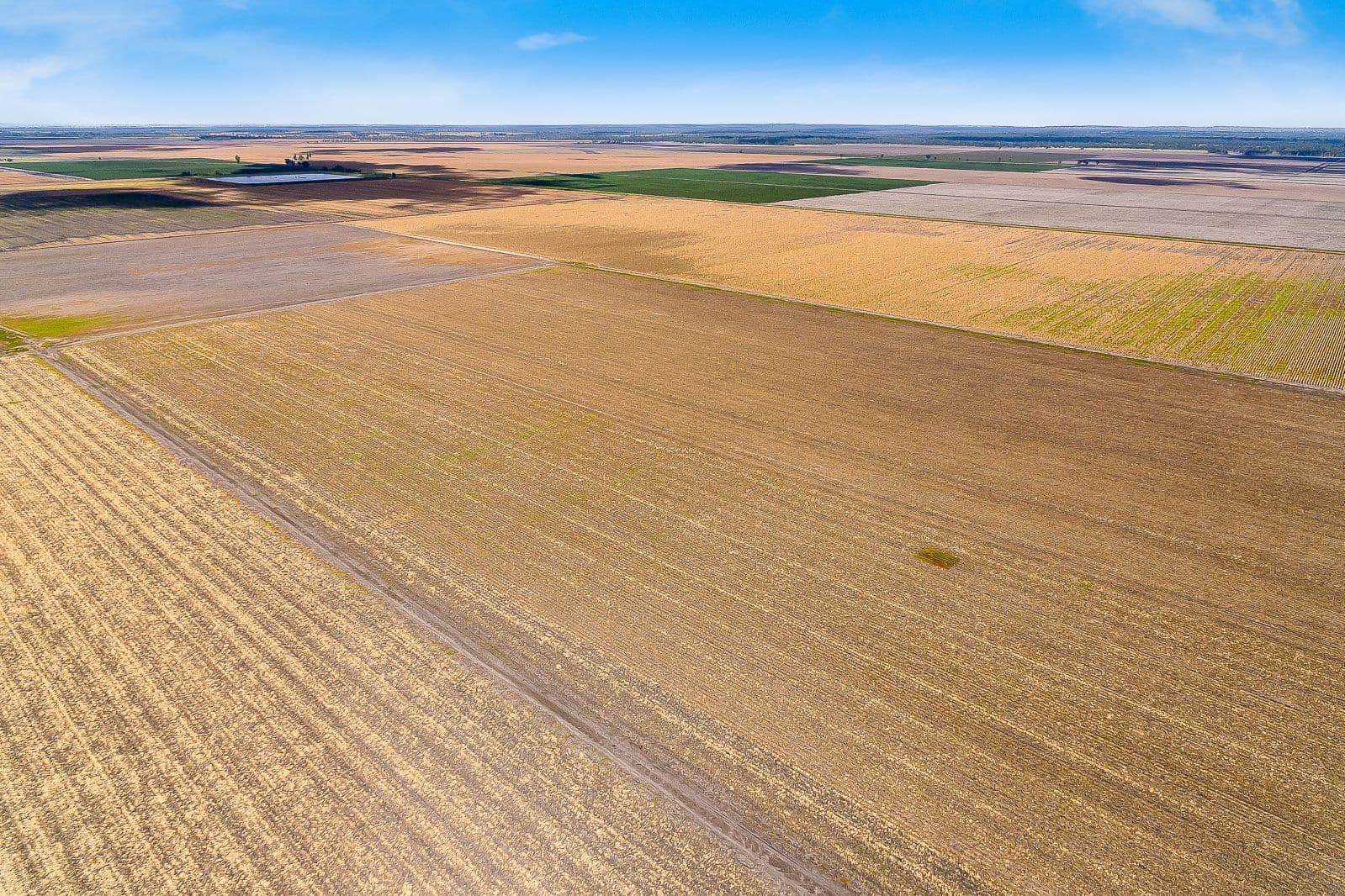 0 Pampas - Horrane Road, Cecil Plains QLD 4407, Cecil Plains - Thumbnail 7
