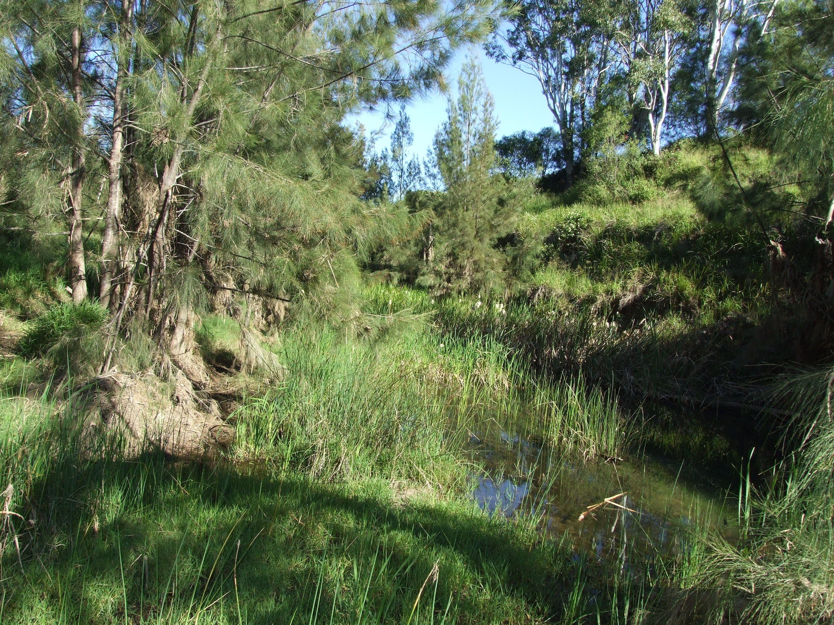 L11 Pierce Creek Road, Emu Creek QLD 4355, Emu Creek - Thumbnail 6