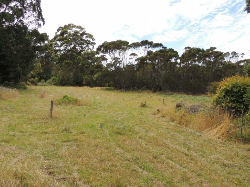 68 Warham Road, Denmark WA 6333, Denmark - Thumbnail 6