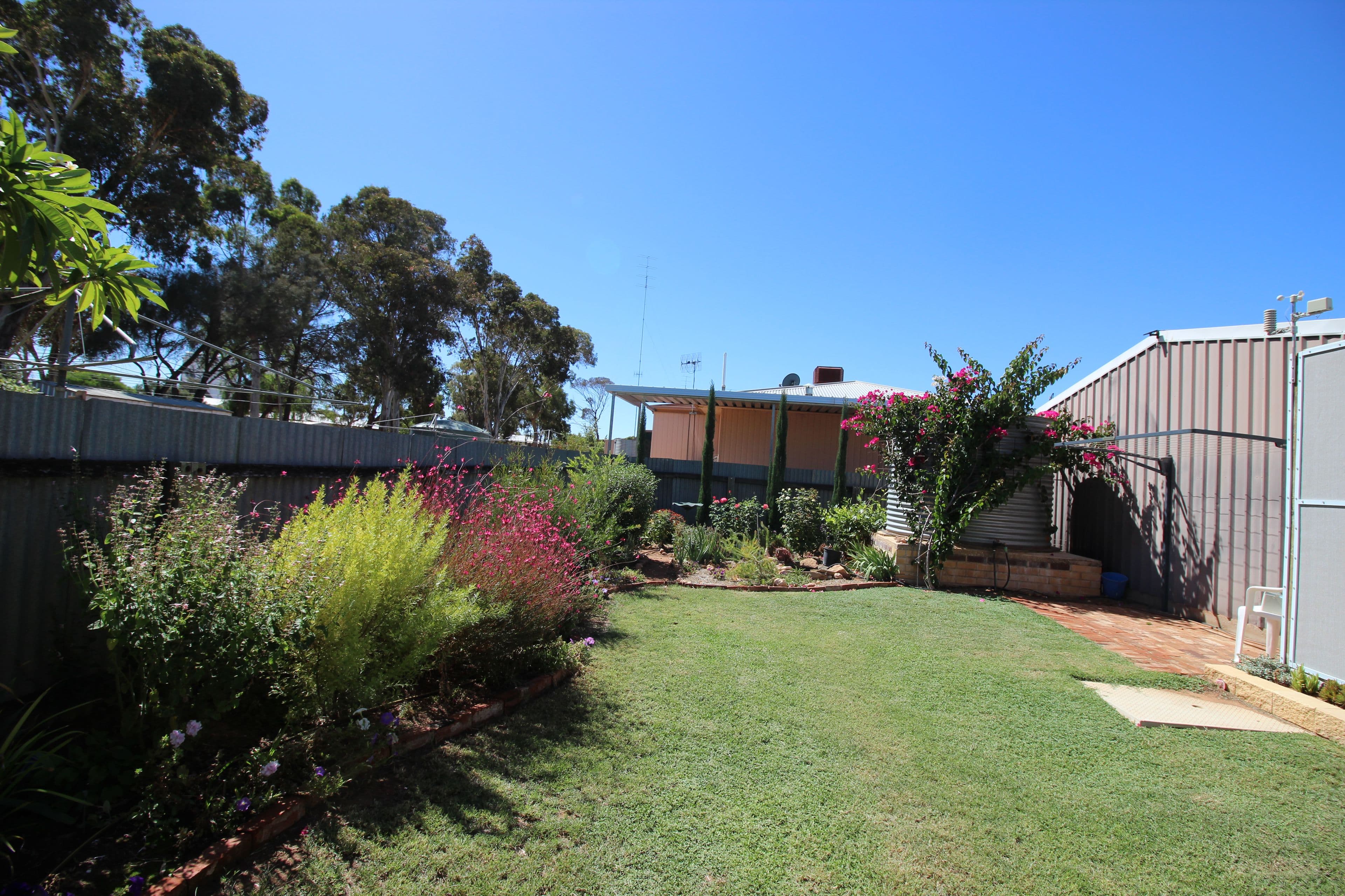 9 Dunning Street, Waikerie SA 5330, Waikerie - Thumbnail 3
