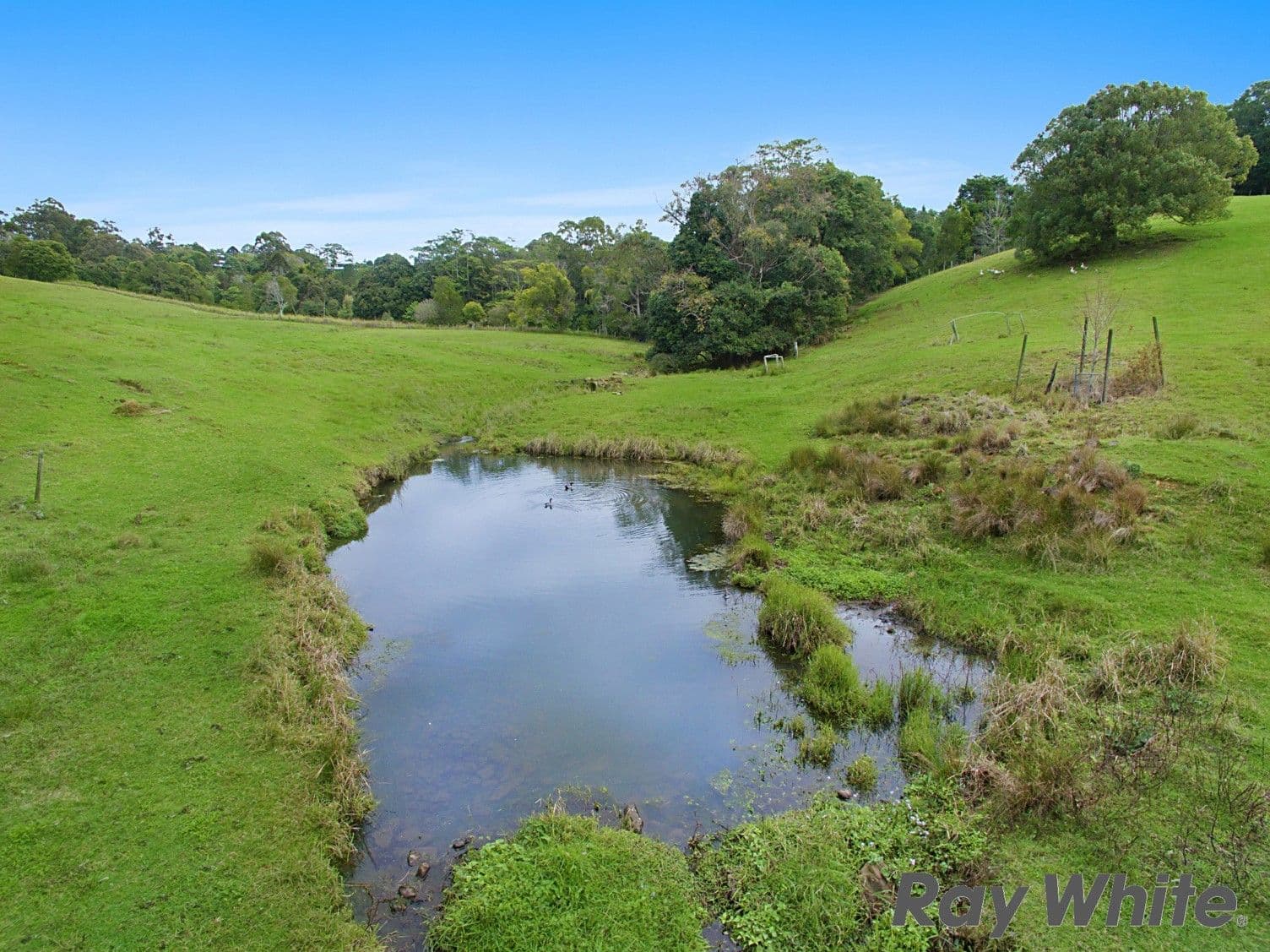 171 Burgum Road, North Maleny QLD 4552, North Maleny - Thumbnail 2
