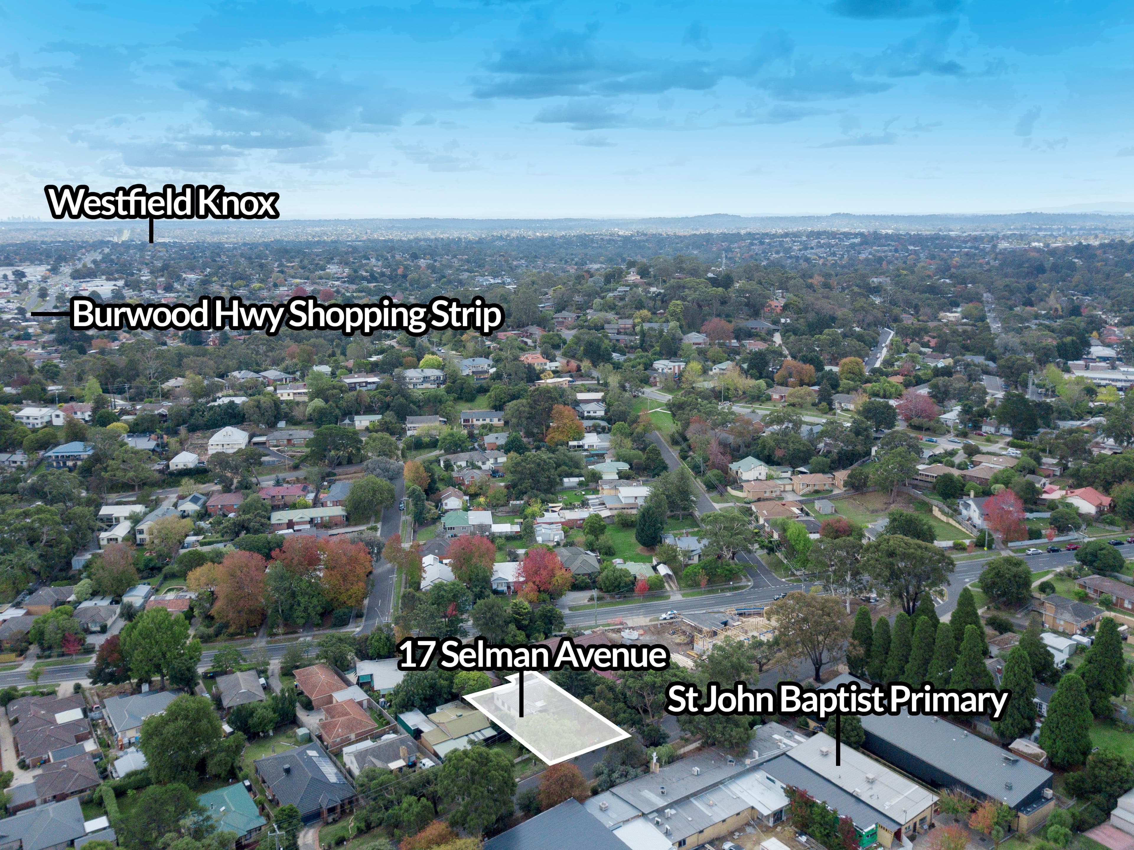 17 Selman Avenue, Ferntree Gully VIC 3156, Ferntree Gully - Thumbnail 3