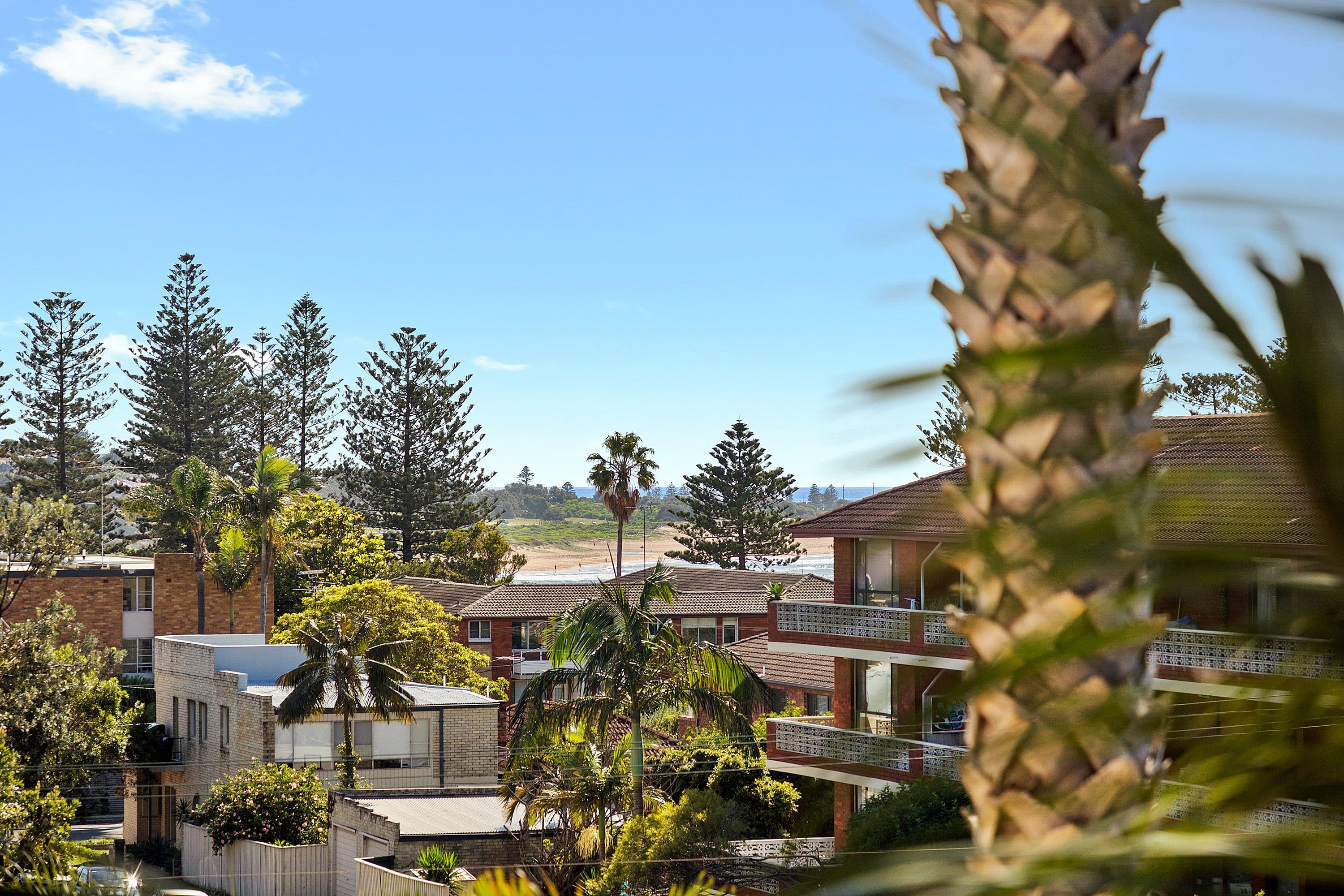 17-19 Boronia Street, Dee Why NSW 2099, Dee Why - Thumbnail 2