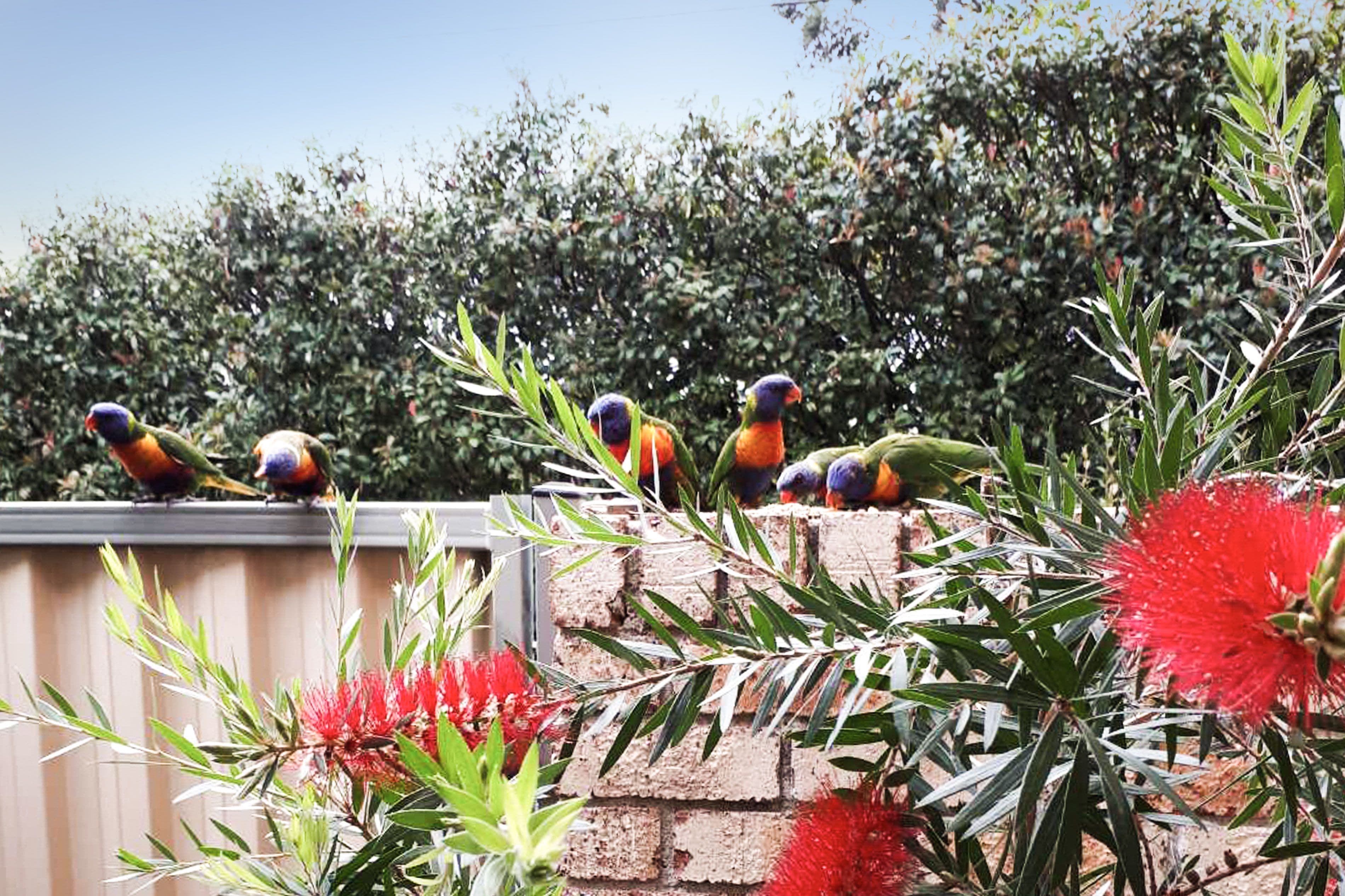 35 Clancy Street, Padstow Heights NSW 2211, Padstow Heights - Thumbnail 2