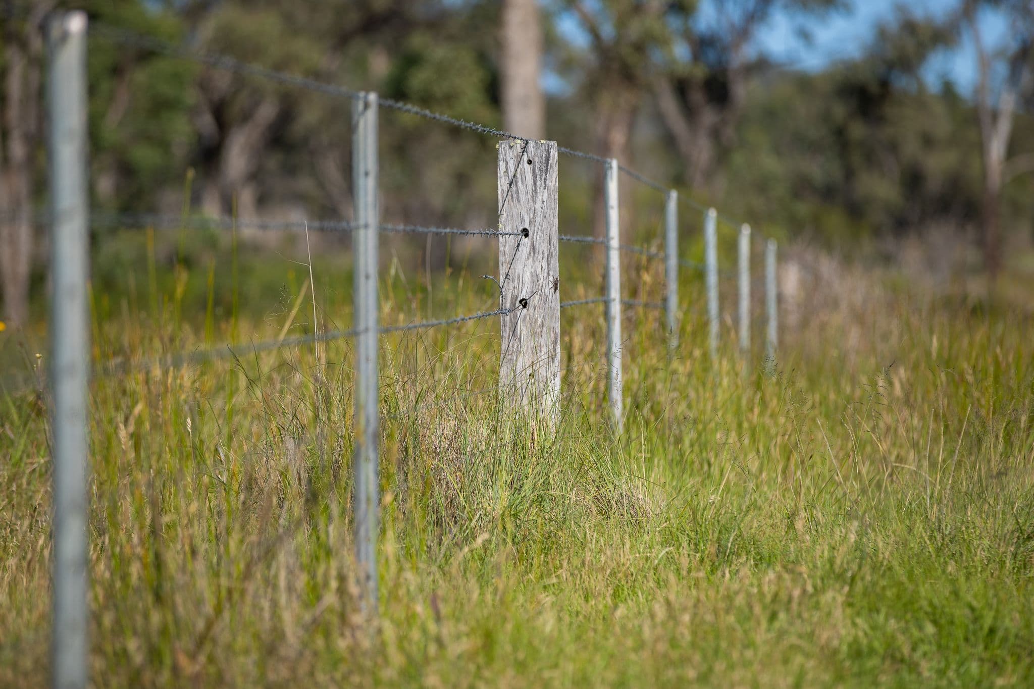 107 Bundarra Road, Inverell NSW 2360, Inverell - Thumbnail 5