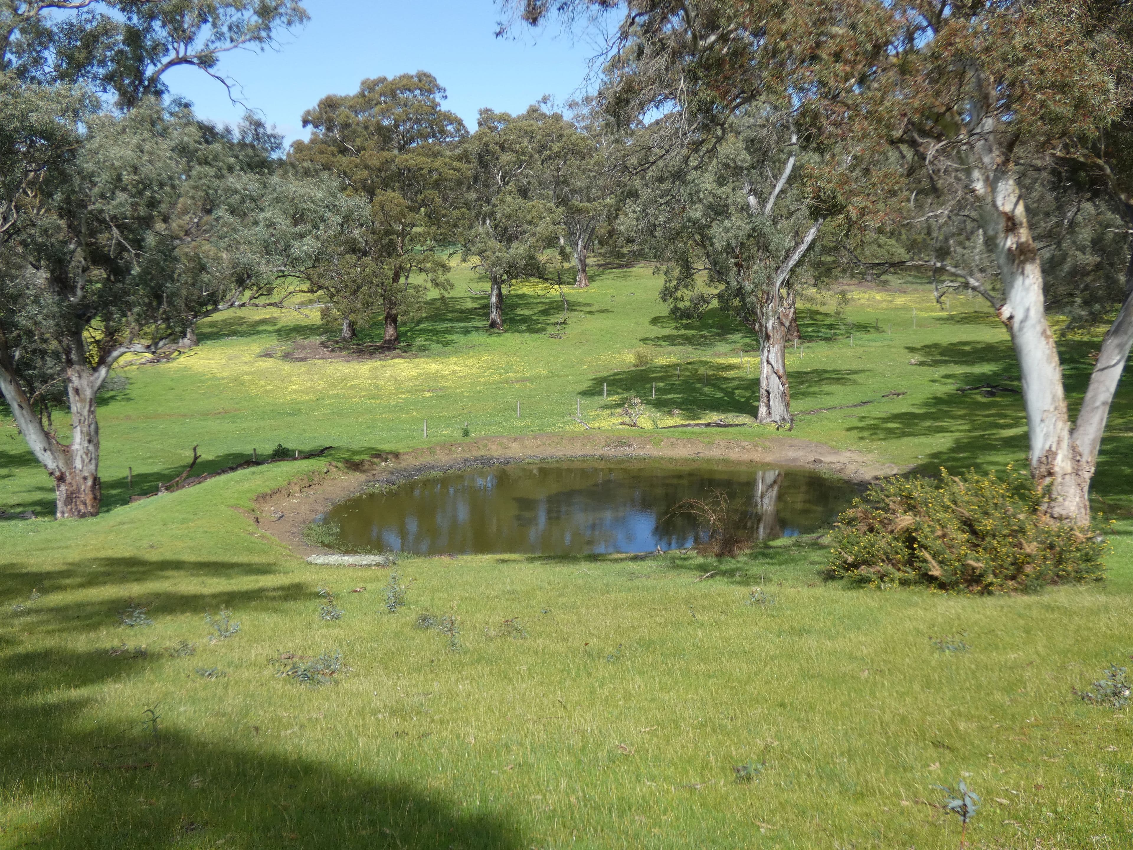 66 Nestor Road, Macclesfield SA 5153, Macclesfield - Thumbnail 2